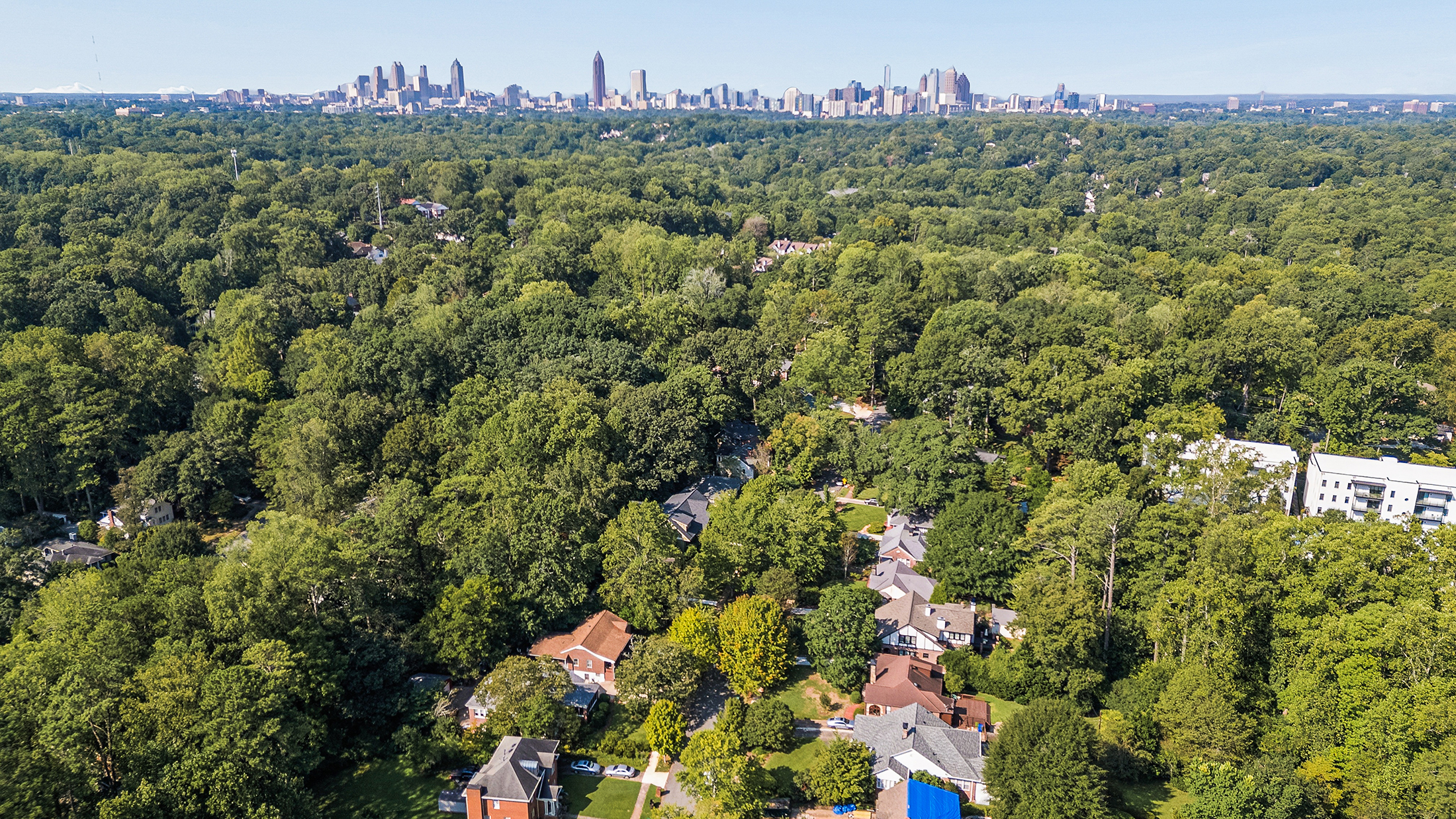  Bright Bungalow in Druid Hills - 物件實景