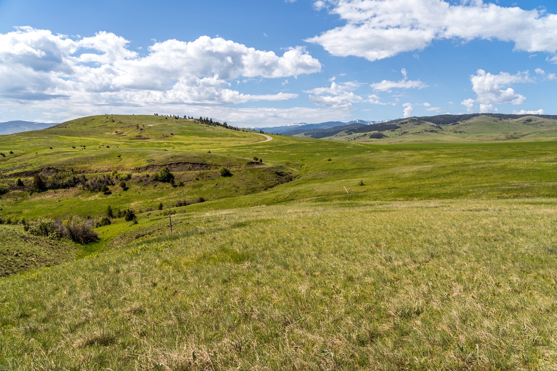  TBD Montana Ranch Tr - 物件實景