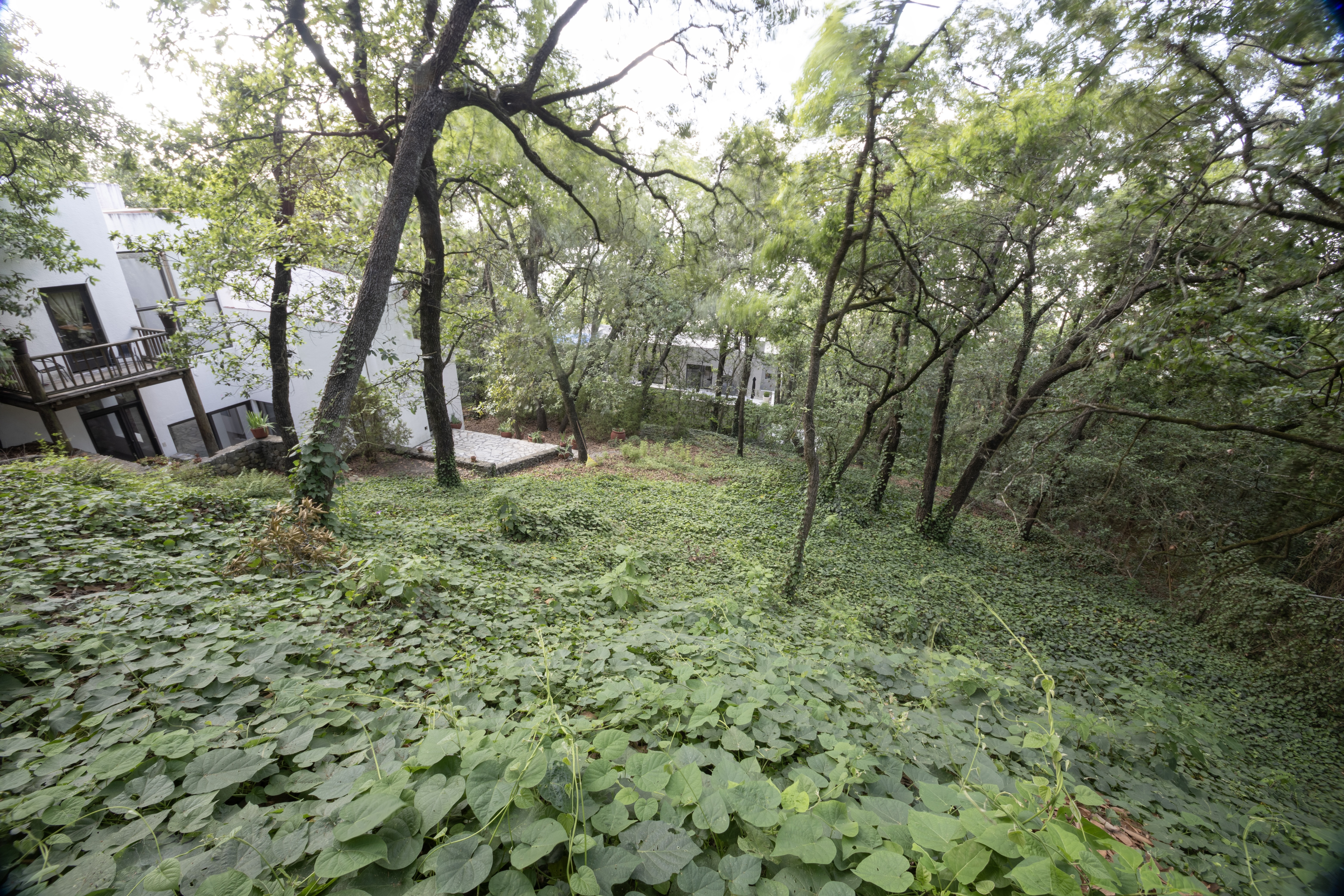  Architectural Residence with Private Gardens and Terraces - 物件實景