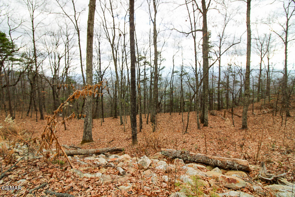 Sevierville, Tennessee, 37876, United States, ,Land,For Sale,2008093
