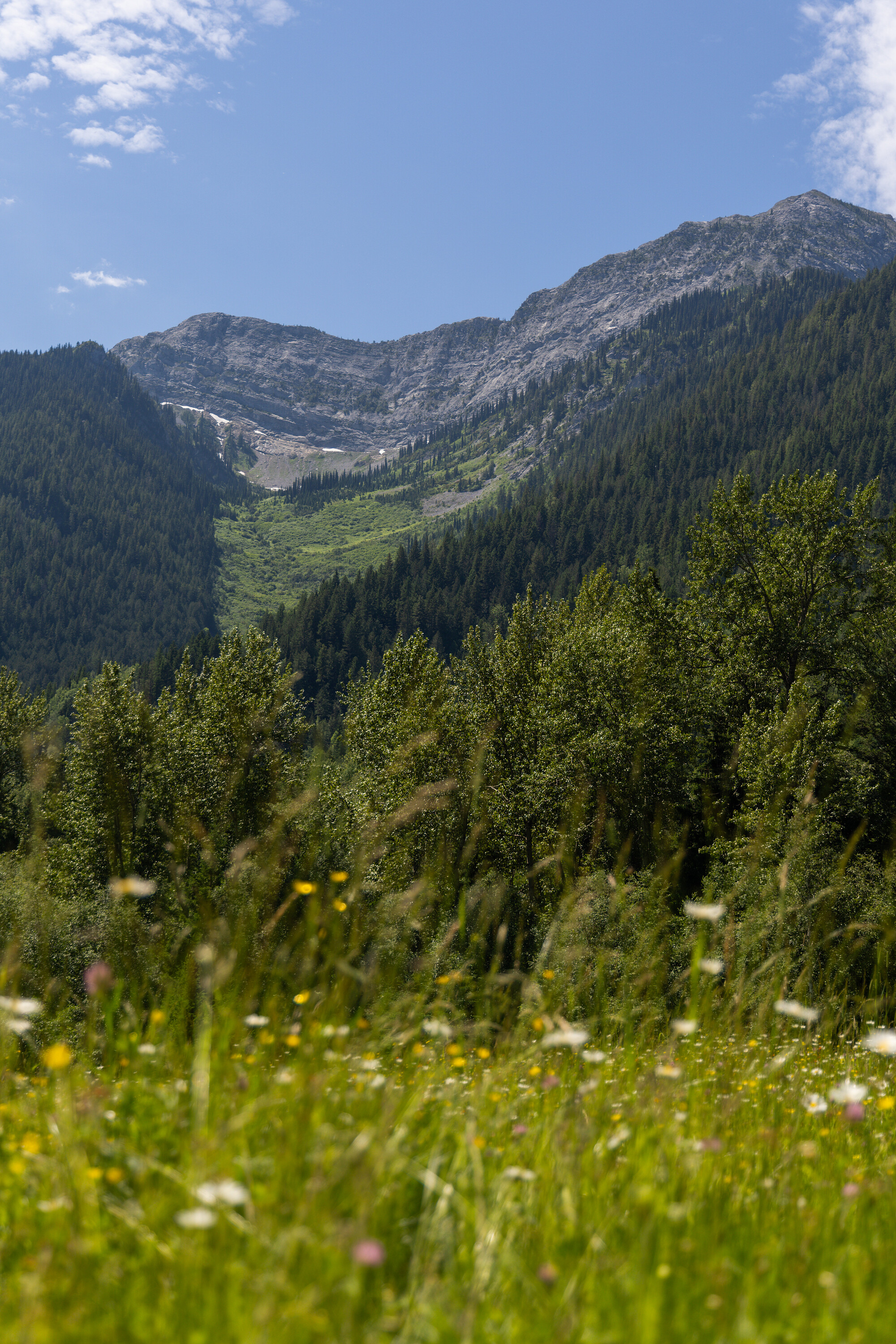  Exclusive Mountain Property - 物件實景