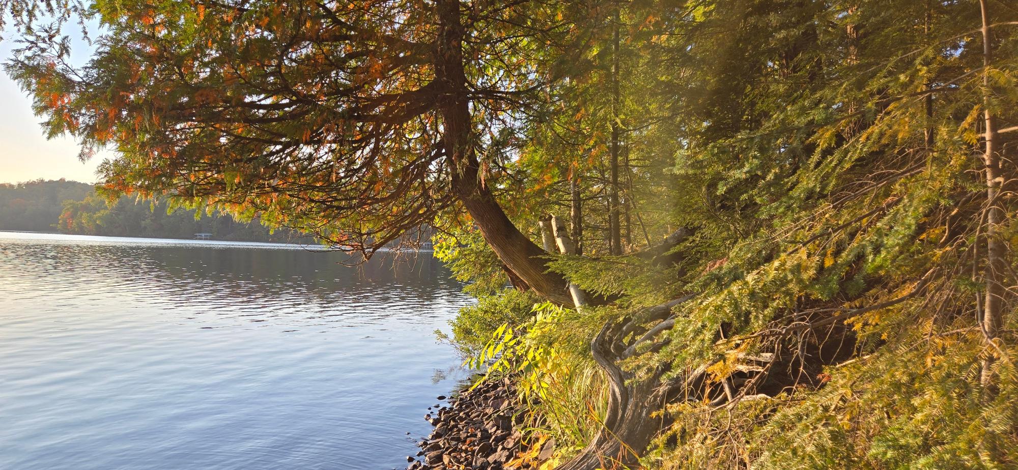 Presque Isle, Wisconsin, 54557, United States, ,Land,For Sale,1984076