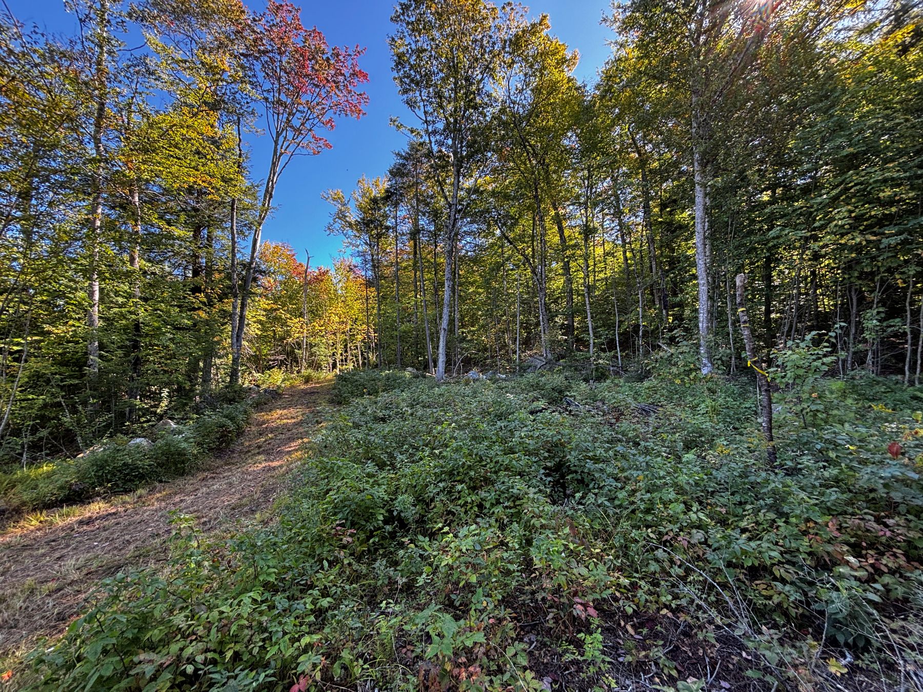  Little Pond Road - 物件實景