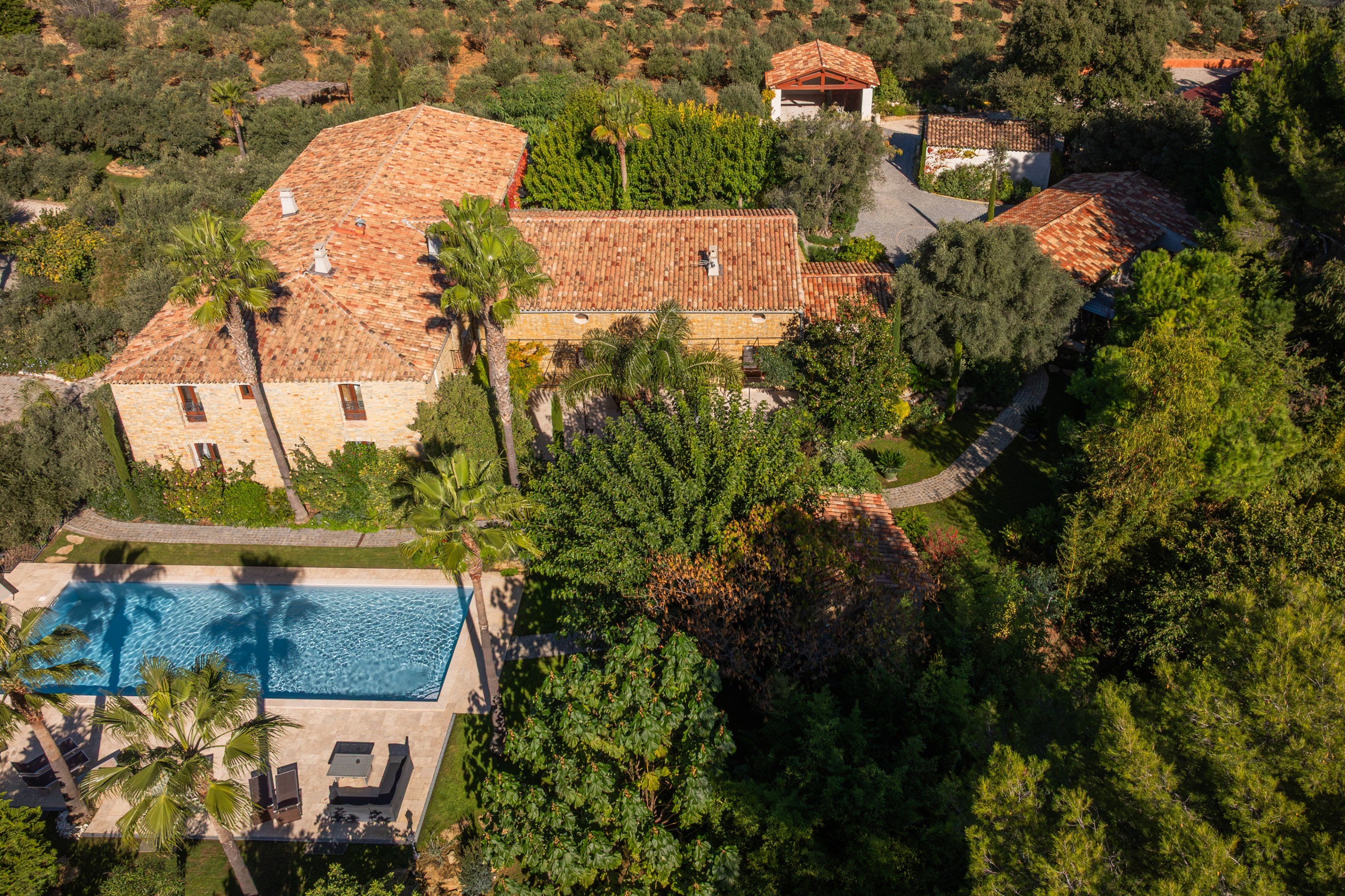  Le Castellet, Provence – Wine and Olive Estate - 物件實景