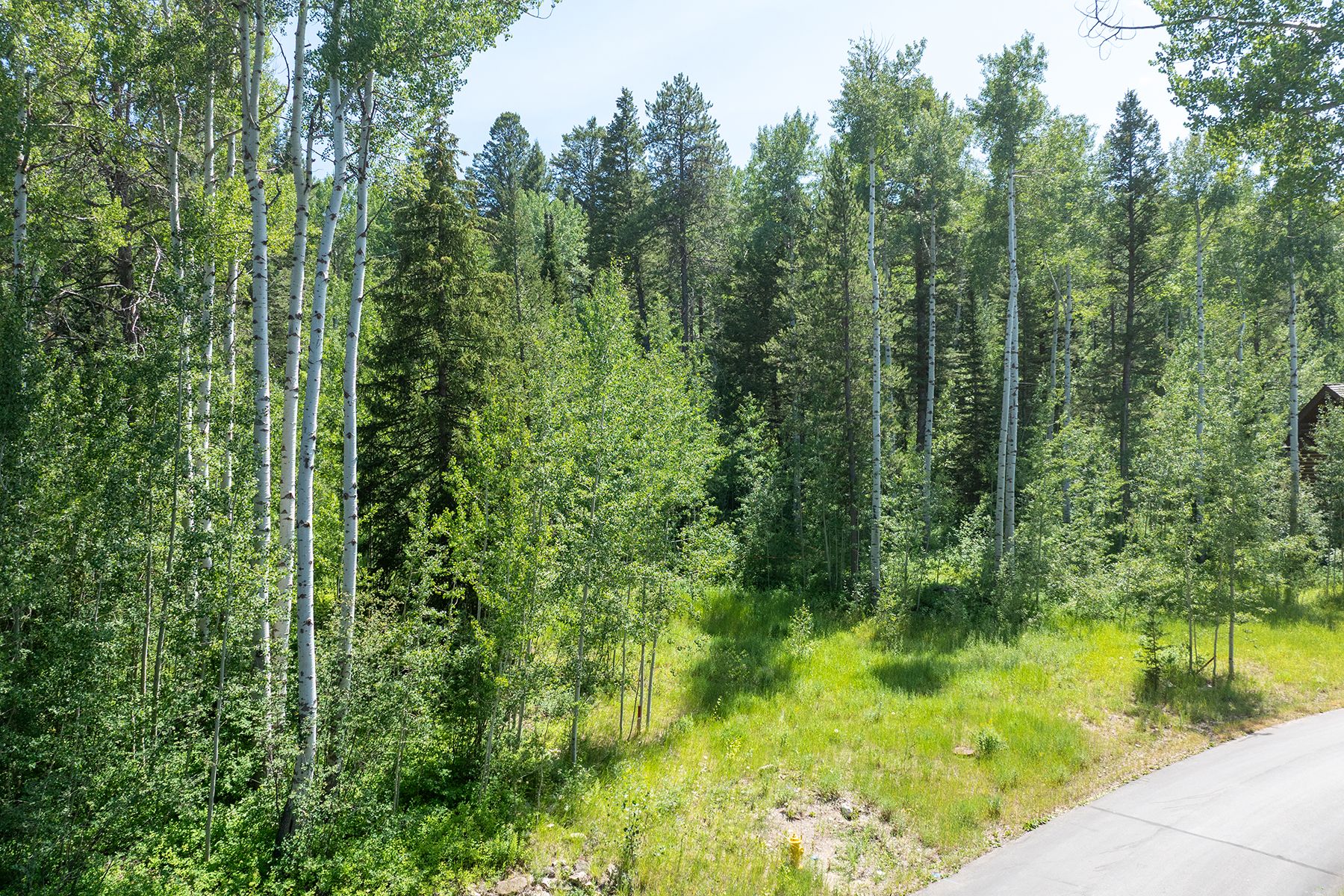  Teton Springs Cabin Site - 物件實景