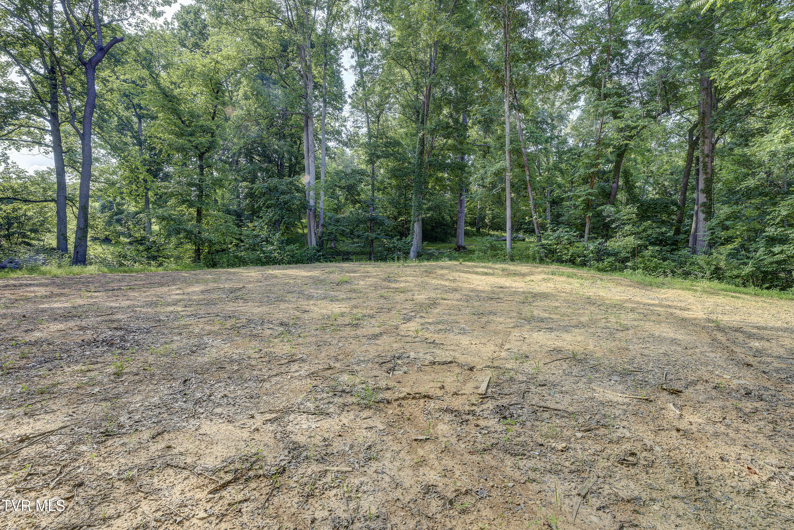 Piney Flats, Tennessee, 37686, United States, ,Land,For Sale,1983828