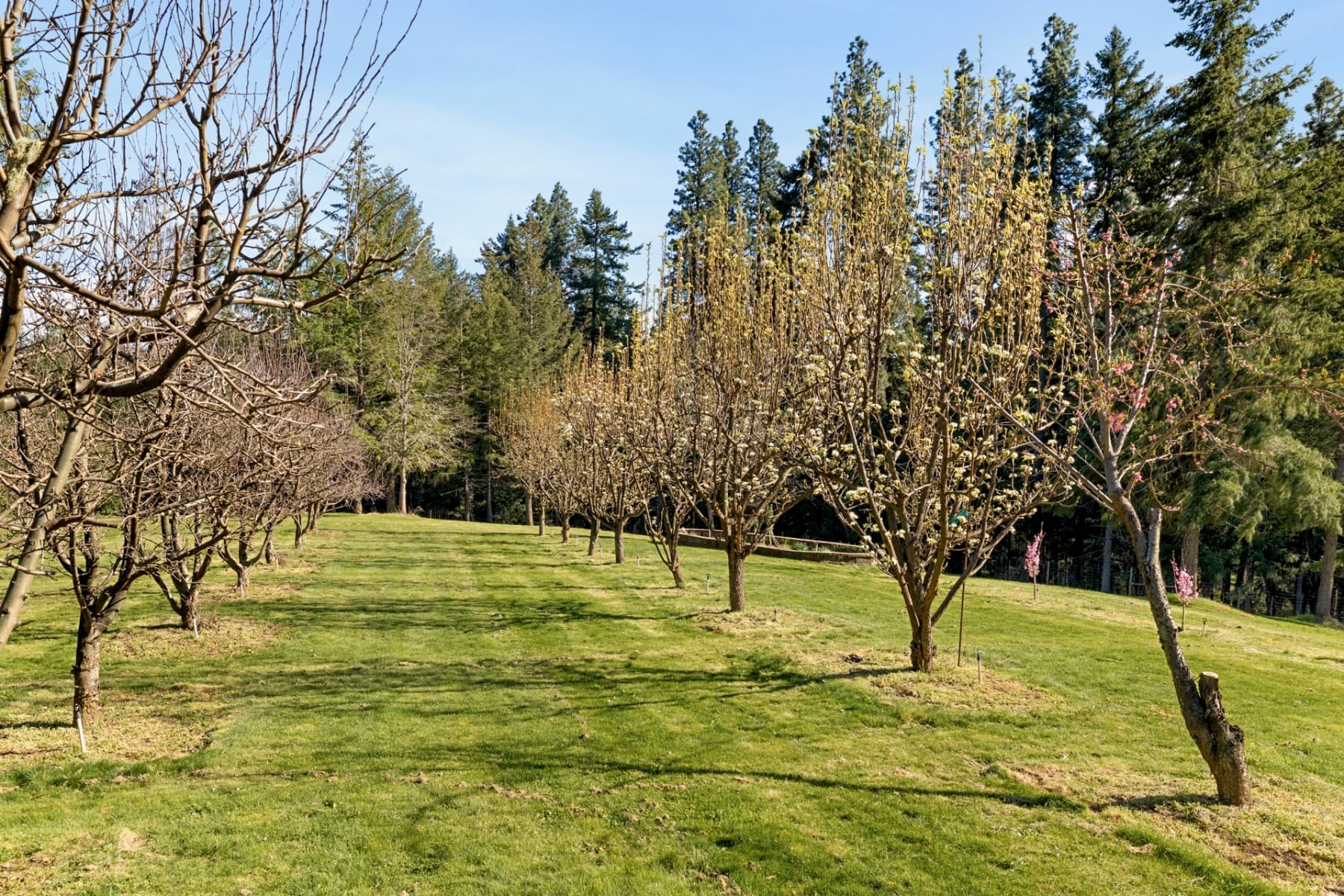  4050 SYLVESTER DR Hood River, OR 97031 - 物件實景