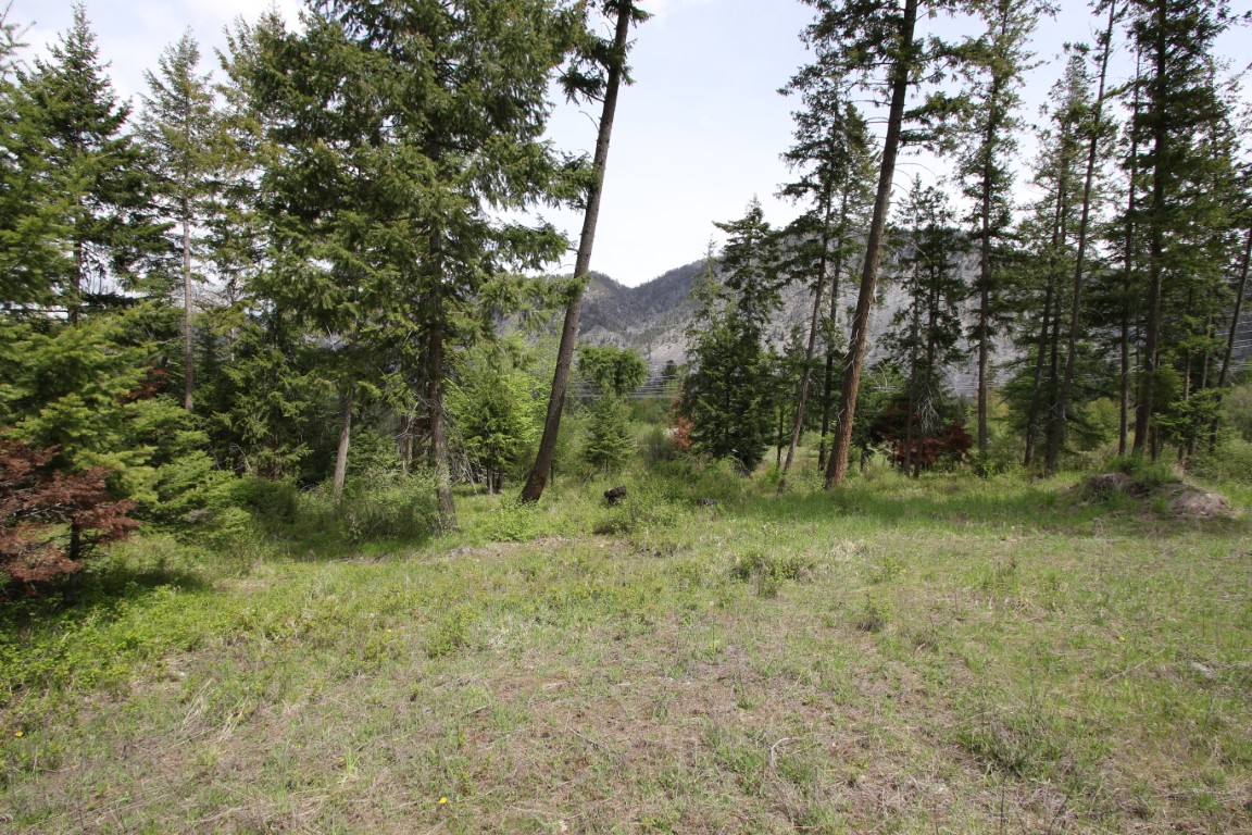 Plains, Montana, 59859, United States, ,Residential,For Sale,1921183