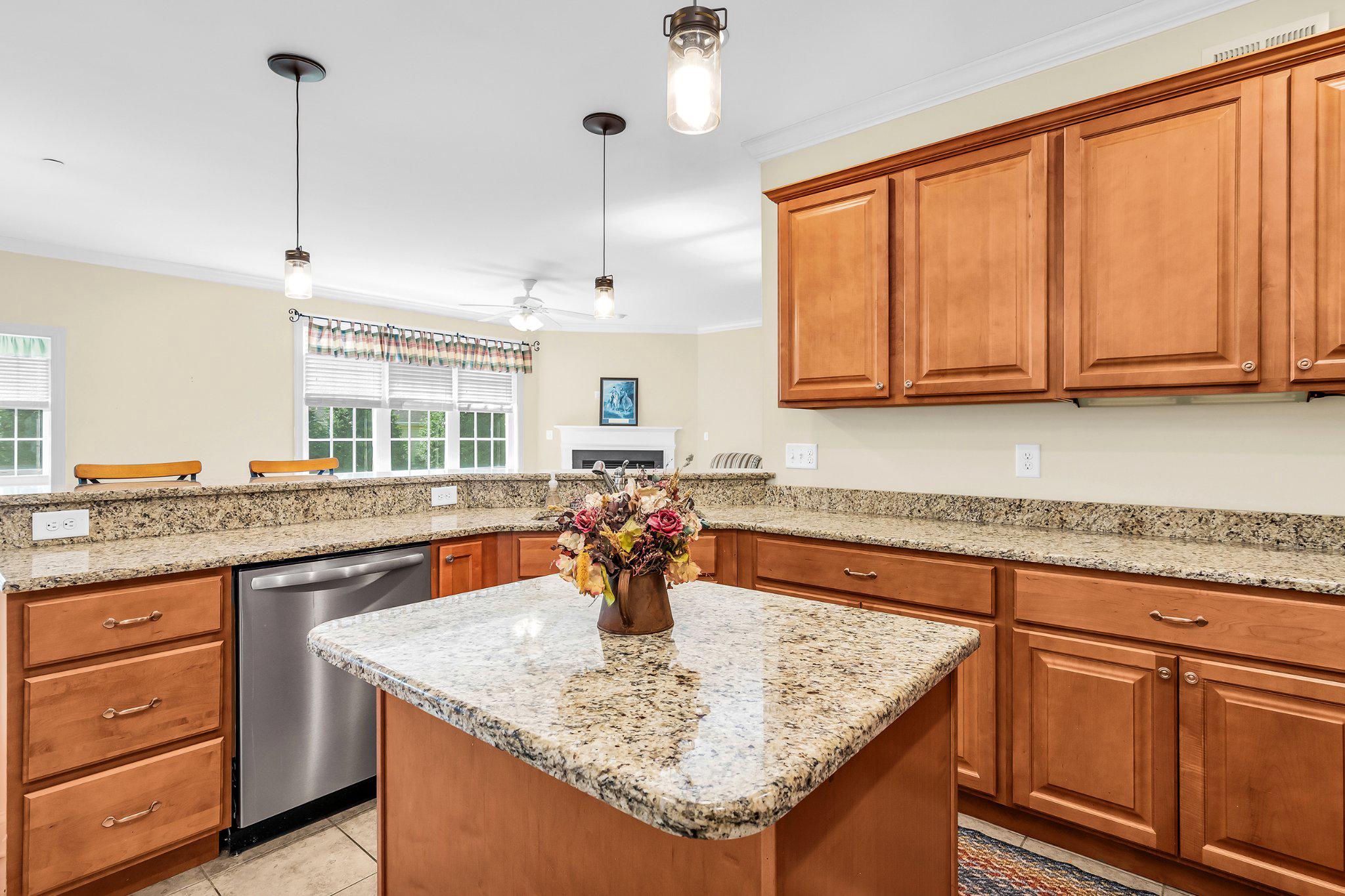  29770 Captain Adamouski Street, Easton, MD, 21601 - 物件實景