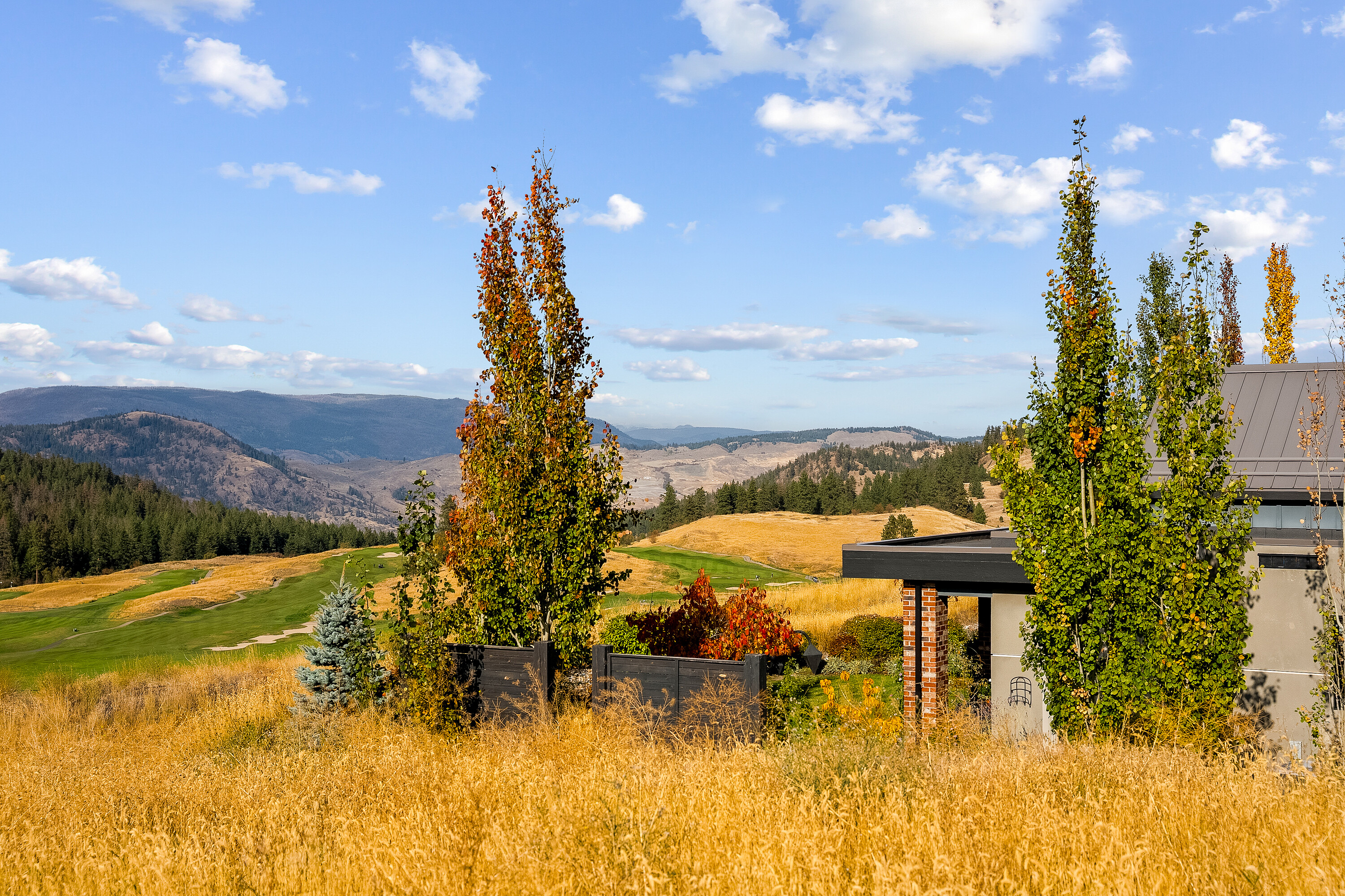  Modern Ranch in Predator Ridge - 物件實景
