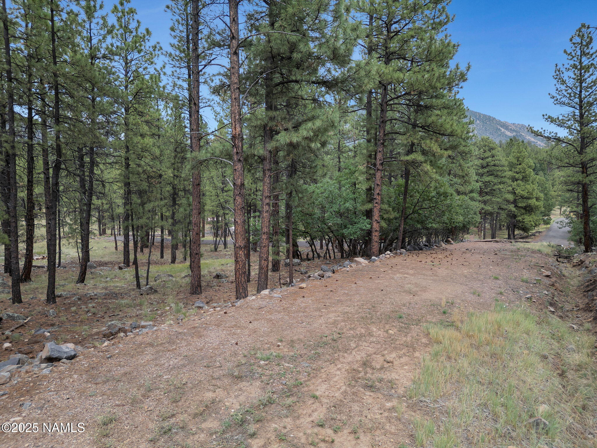 Flagstaff, Arizona, 86001, United States, ,Land,For Sale,1948051