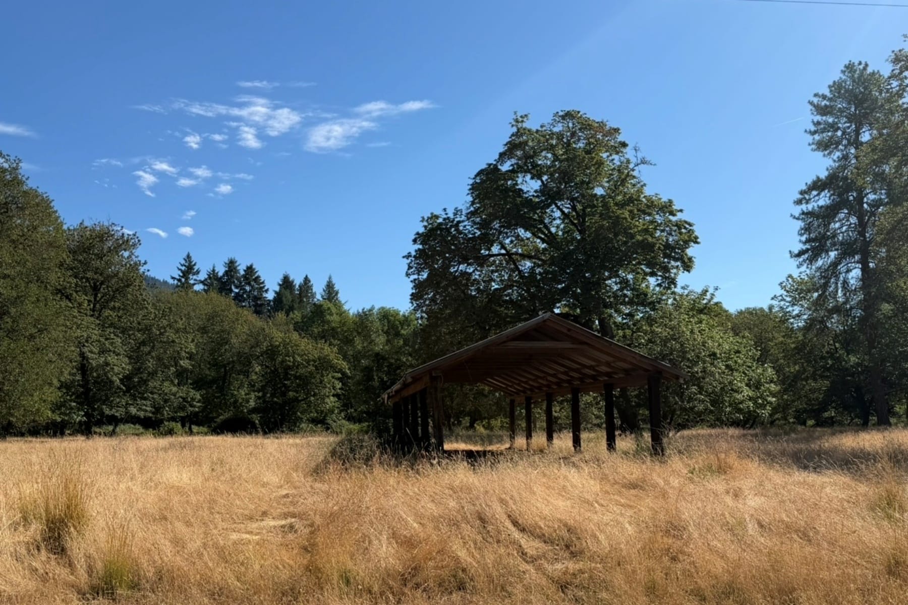  706 Creek Road Azalea, OR 97410 - 物件實景