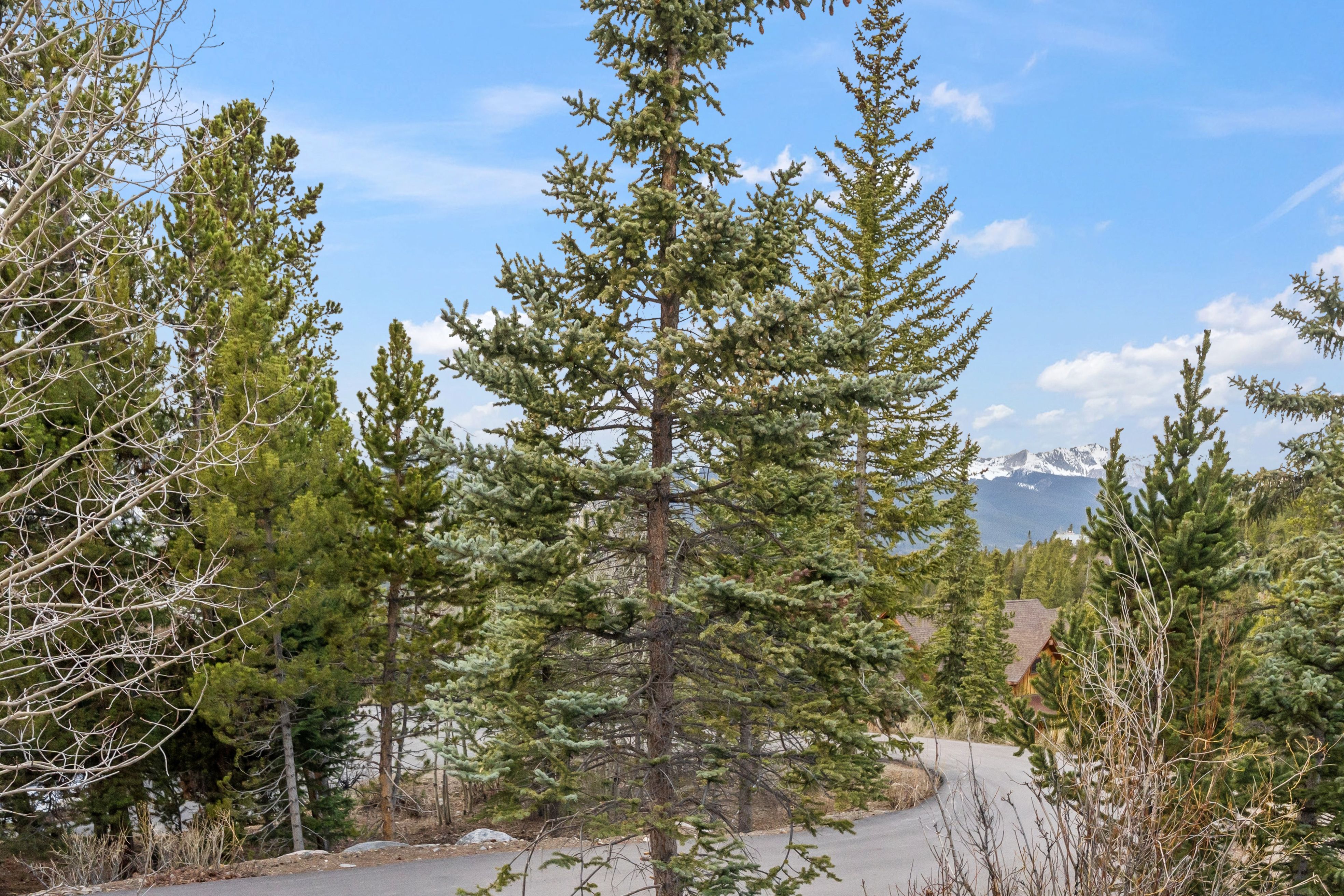  53 Atlantic Lode Road, Breckenridge, CO, 80424 - 物件實景