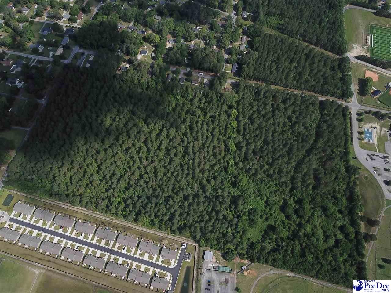 Hartsville, South Carolina, 29550-3644, United States, ,Land,For Sale,1827694