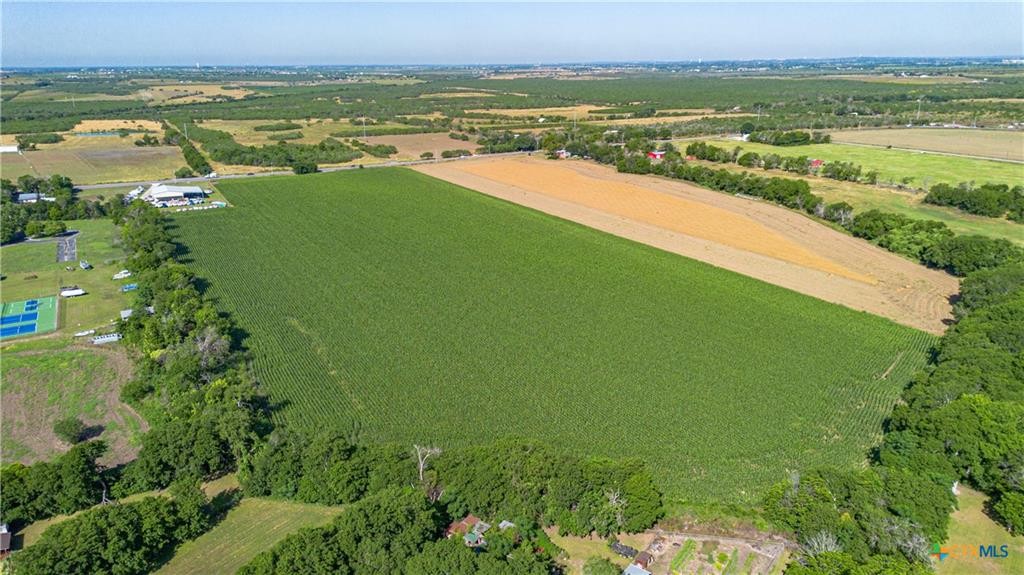 Mcqueeney, Texas, 78123, United States, ,Land,For Sale,1980081