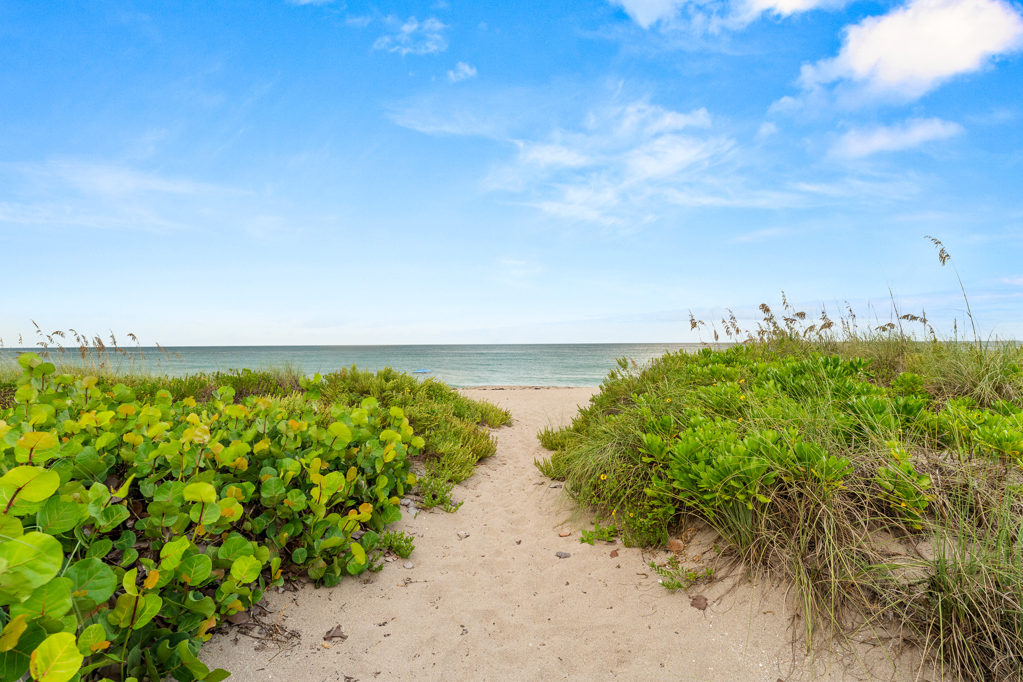  579 NE Plantation Road, Stuart, FL, 34996 - 物件實景