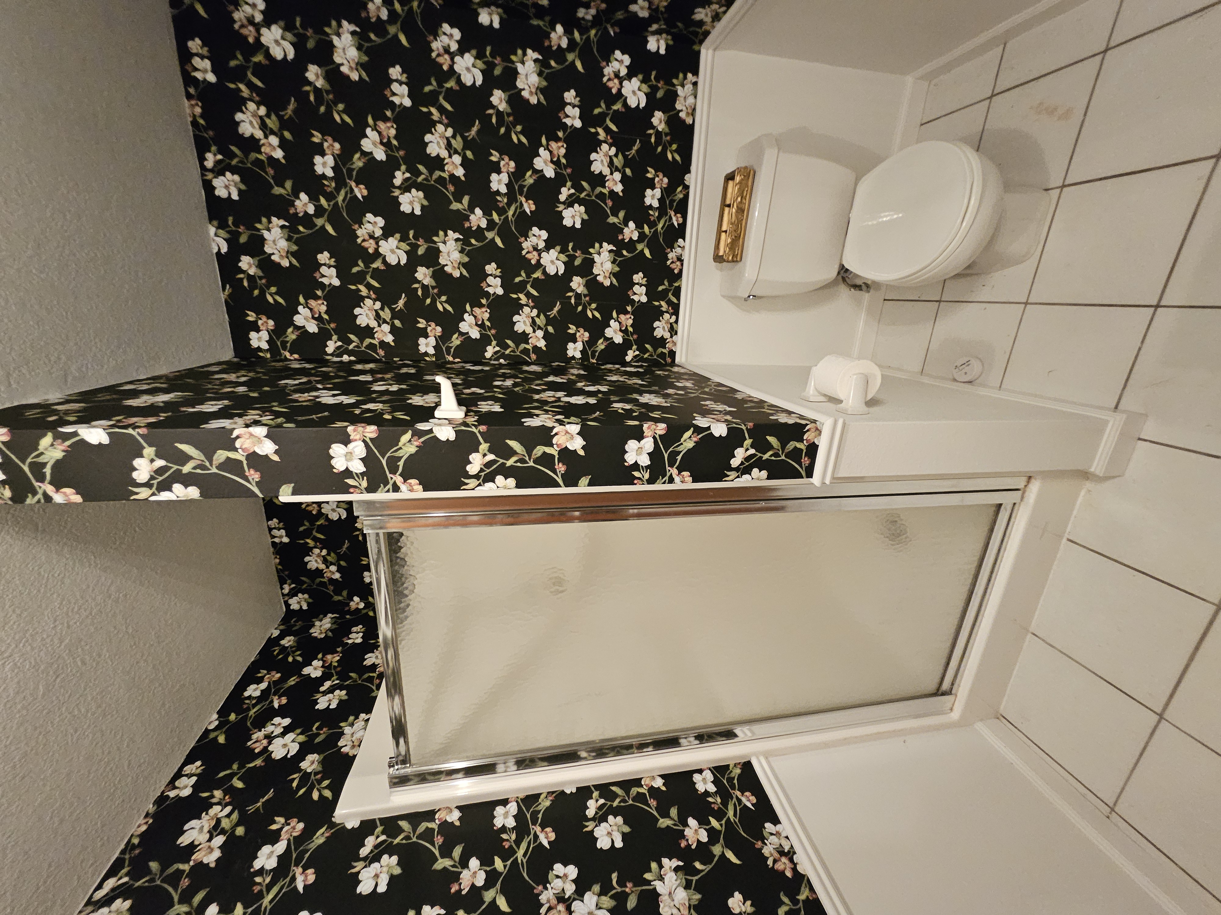 Pierce City, Missouri, 65723, United States, 5 Bedrooms Bedrooms, ,3 BathroomsBathrooms,Residential,For Sale,1984282