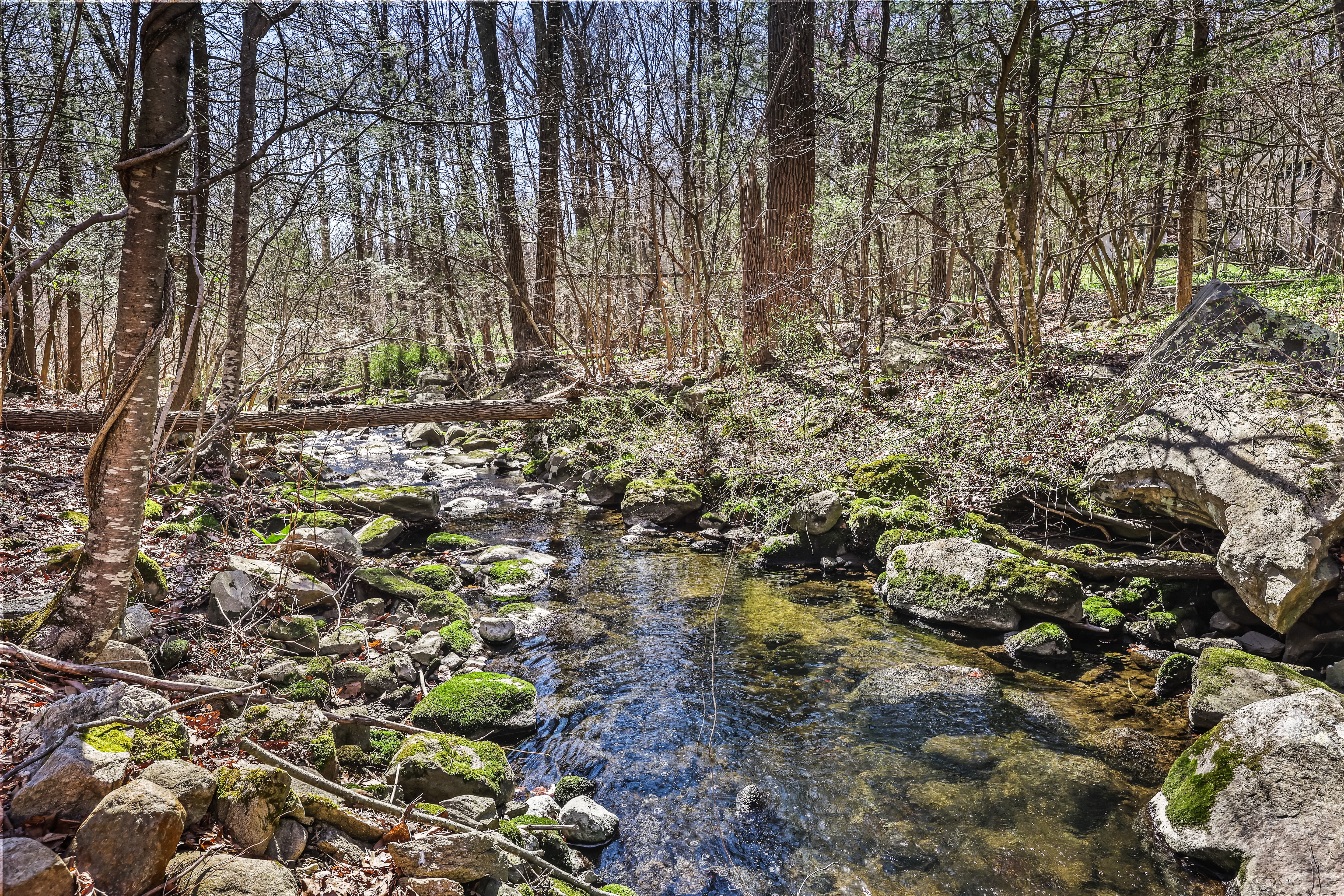  Spacious 4 Bedroom in CT - 物件實景