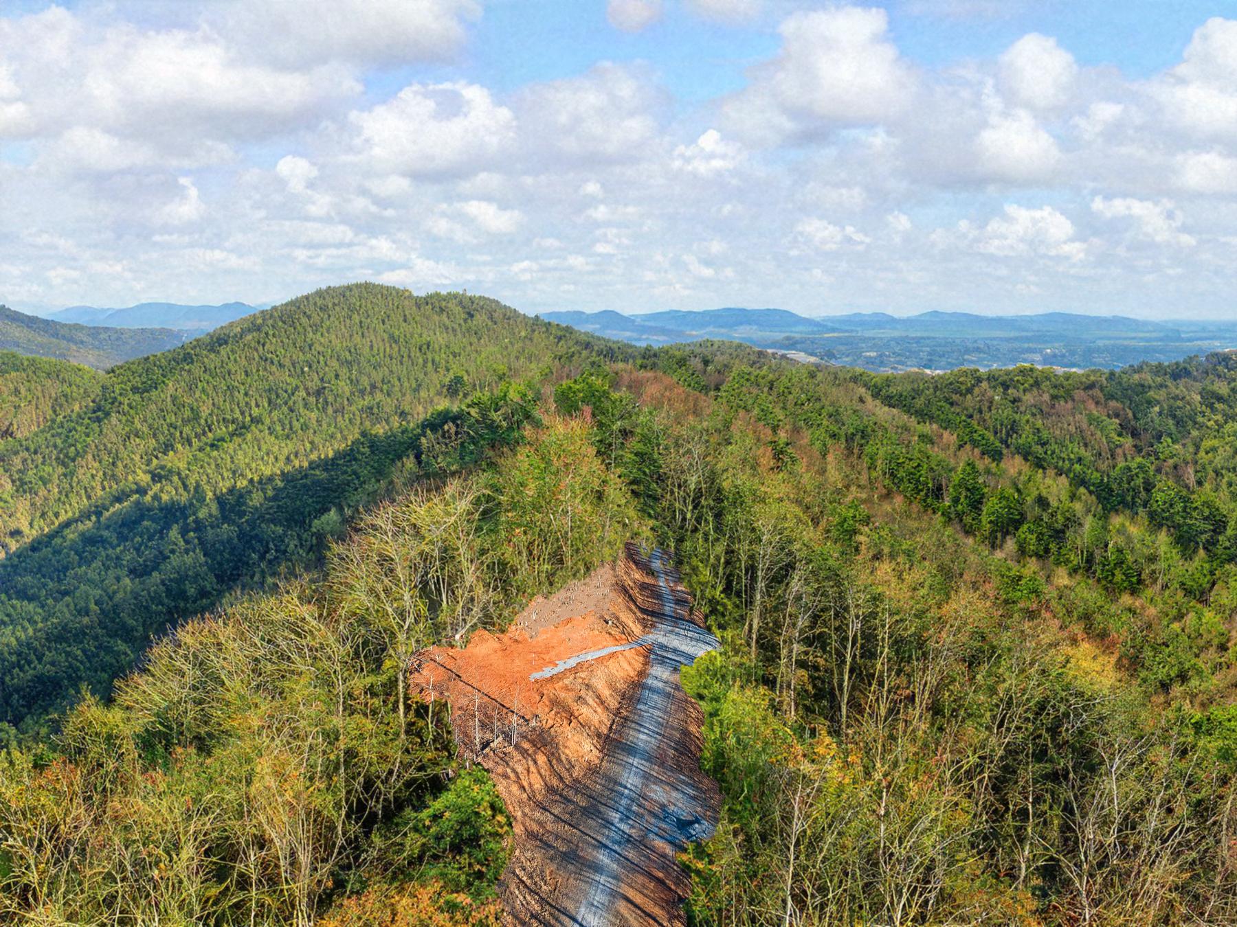 Union Mills, North Carolina, 28167, United States, ,Land,For Sale,1984328