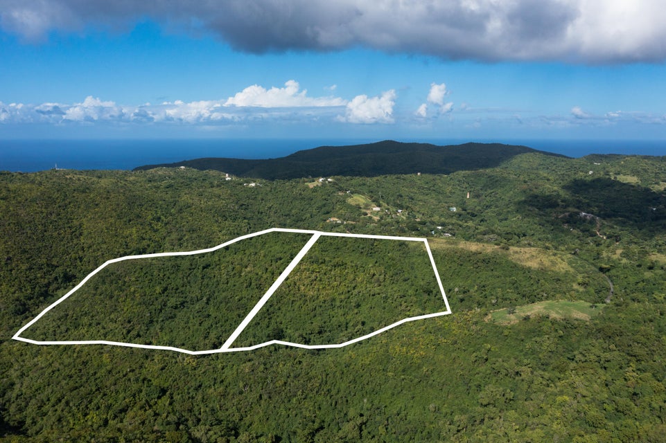 St. Croix, Virgin Islands, 00840, VI, ,Land,For Sale,1792958