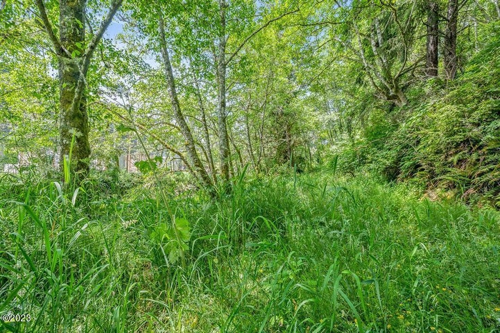 Pacific City, Oregon, 97135, United States, ,Land,For Sale,1977303