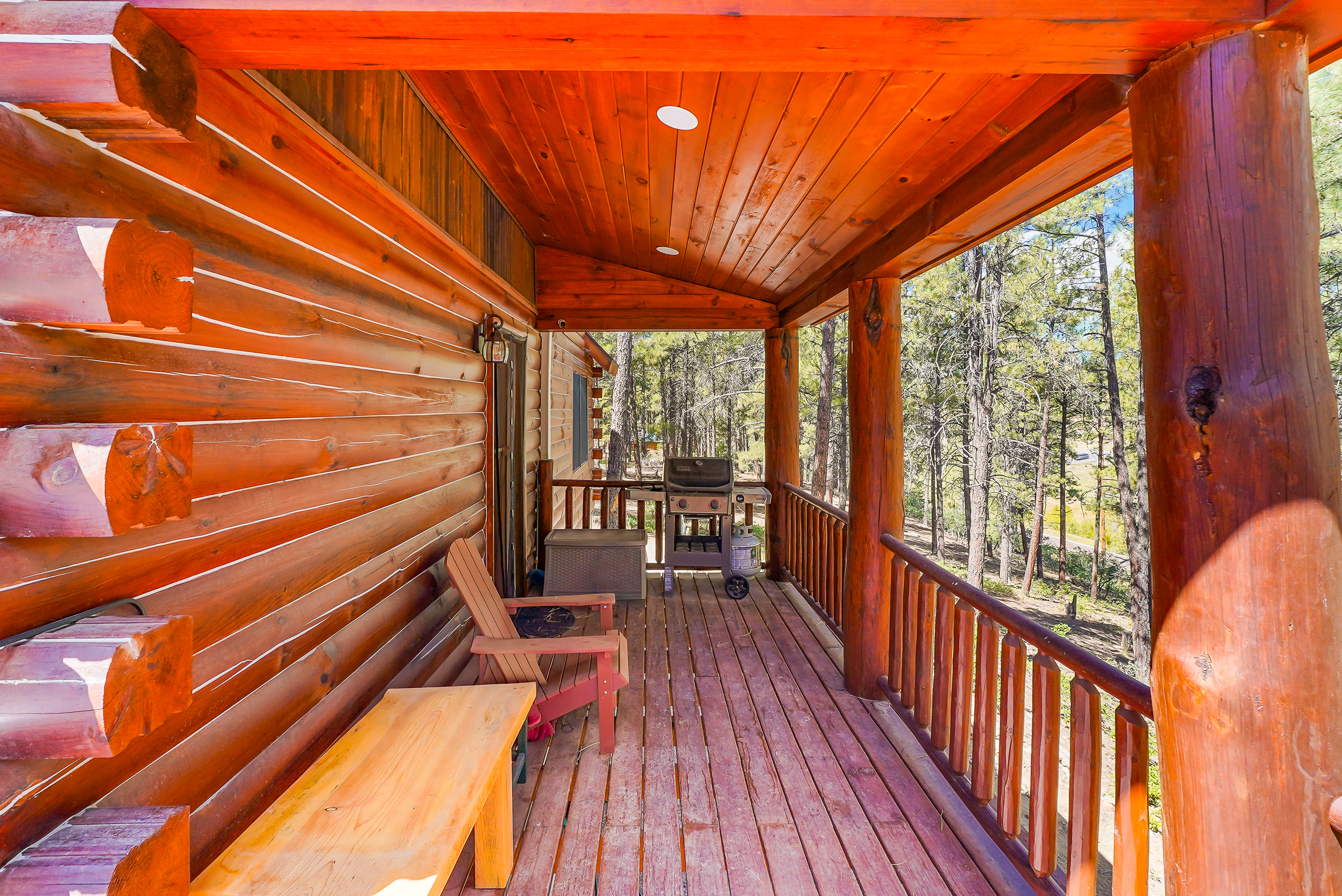  350 Wieland Drive, Bayfield, CO 81122 - 物件實景