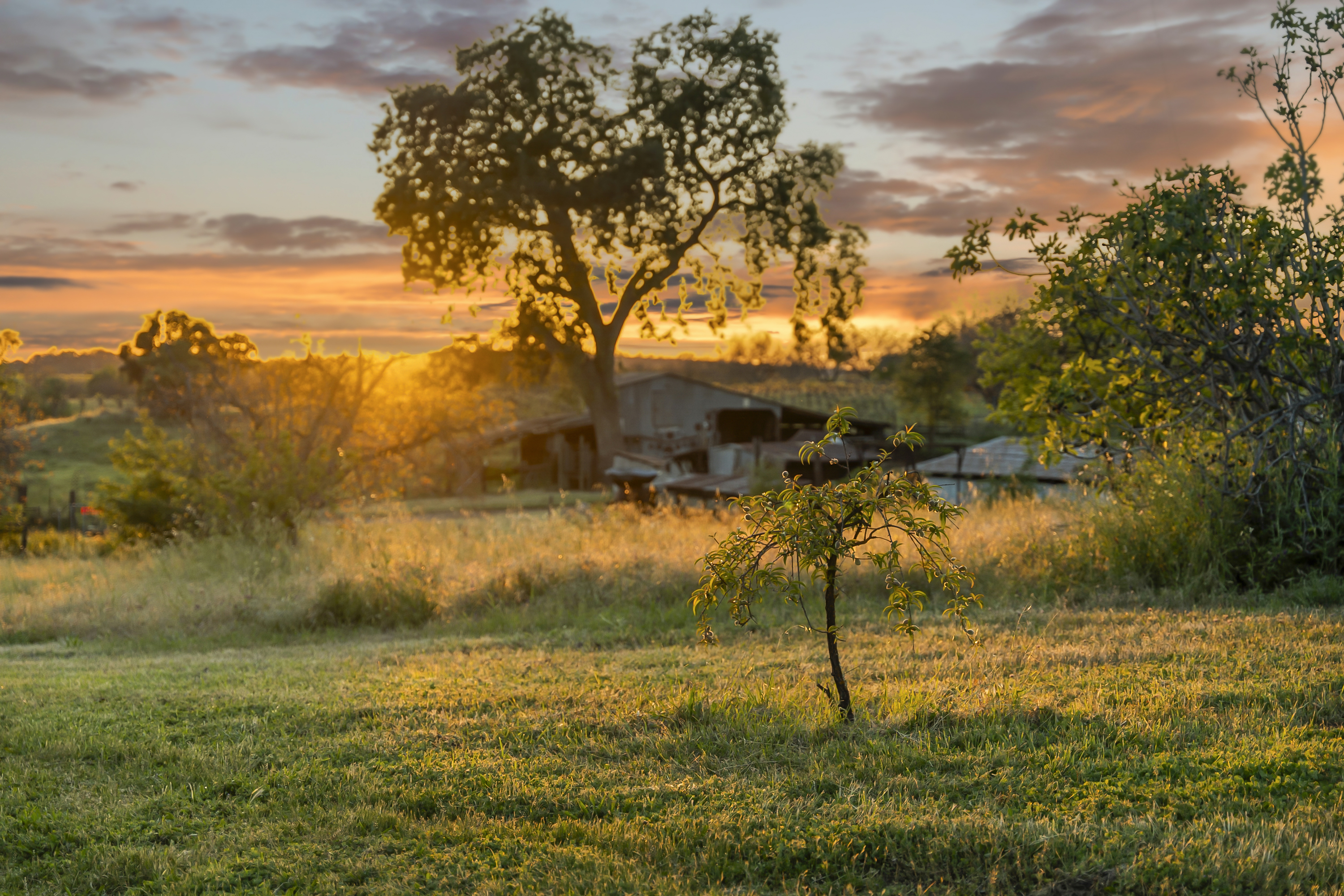  107 Acres - Seasonal Creek - Legacy - 物件實景