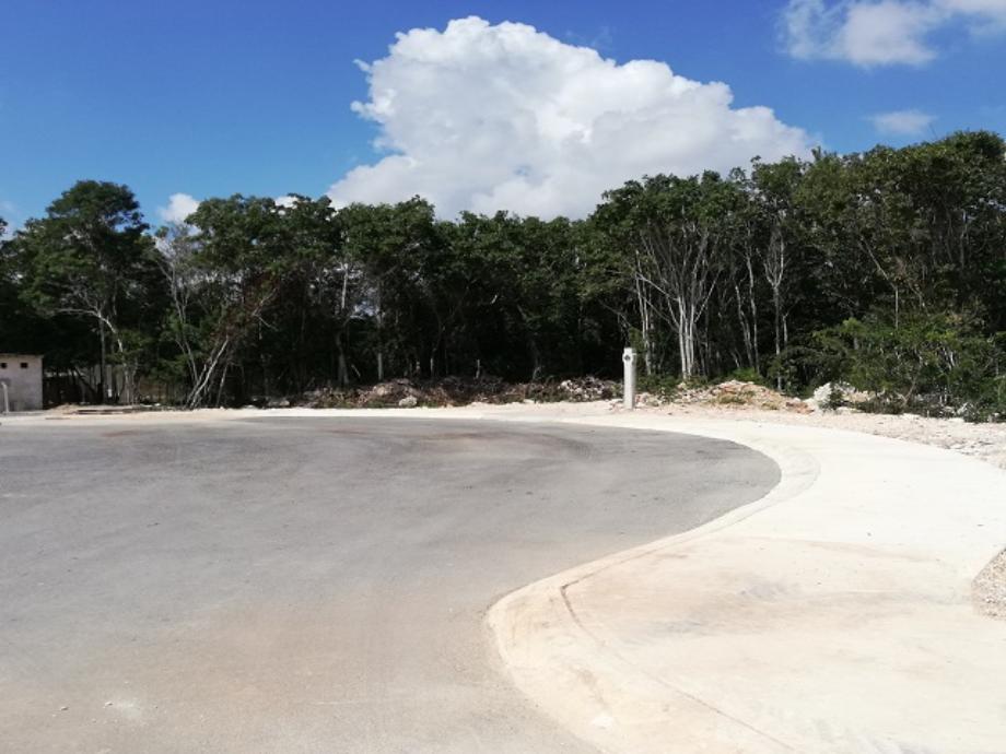 Paseo del Mar Cancun, Benito Juárez, Quintana Roo, 77535, Mexico, 1 Bedroom Bedrooms, ,Residential,For Sale,Paseo del Mar Cancun,1613435