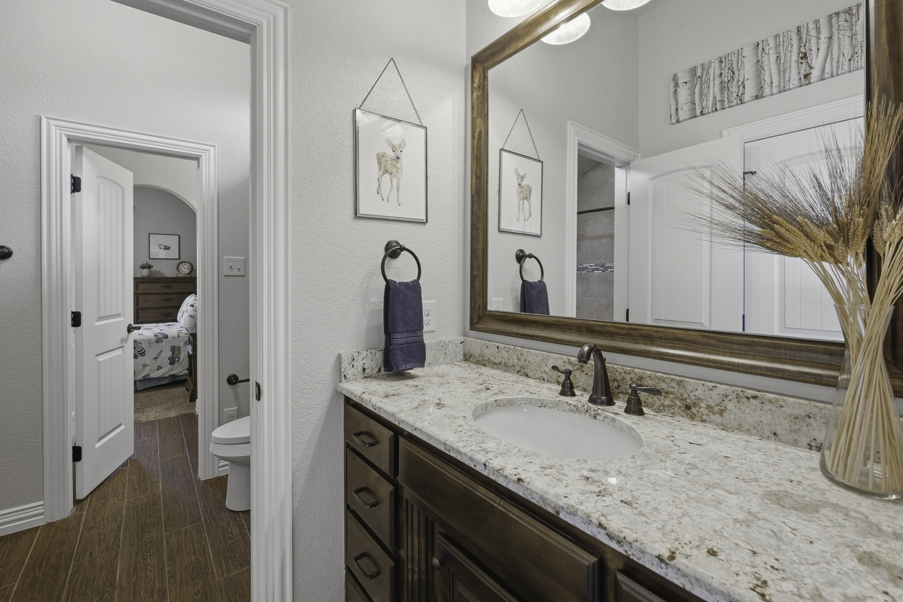  10700 San Simeon Lane, Fort Worth, TX, 76179 - 物件實景