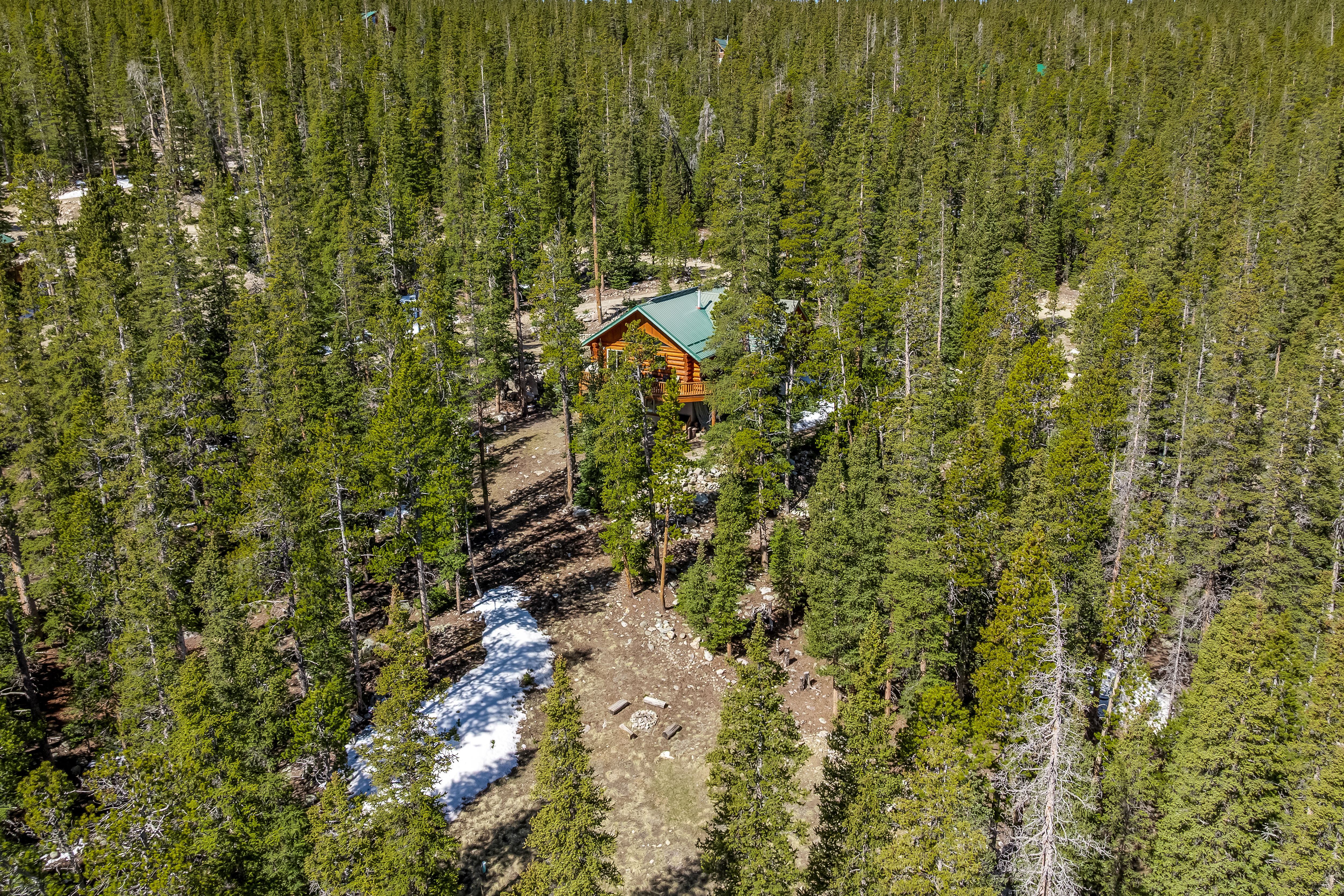  Handcrafted Swedish cope log home - 物件實景