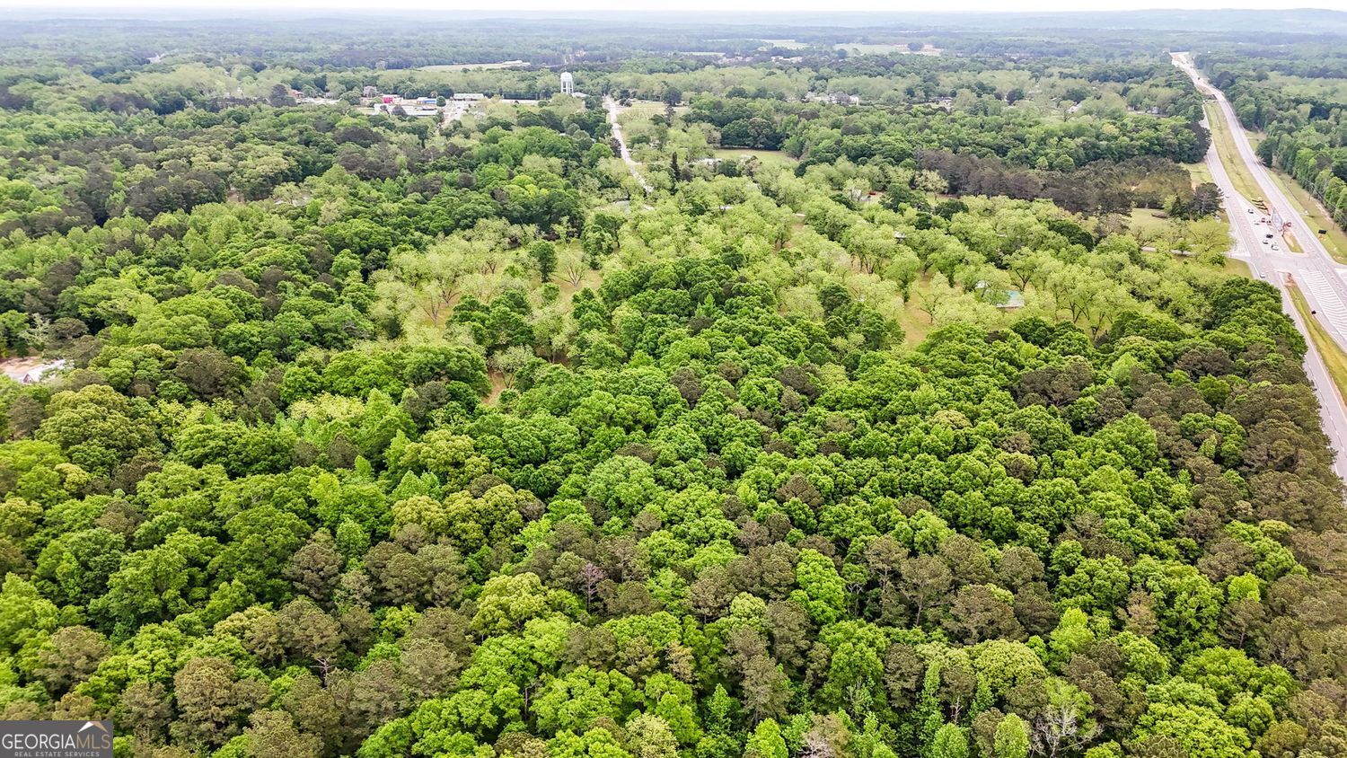 Milner, Georgia, 30257, United States, ,Land,For Sale,1859026