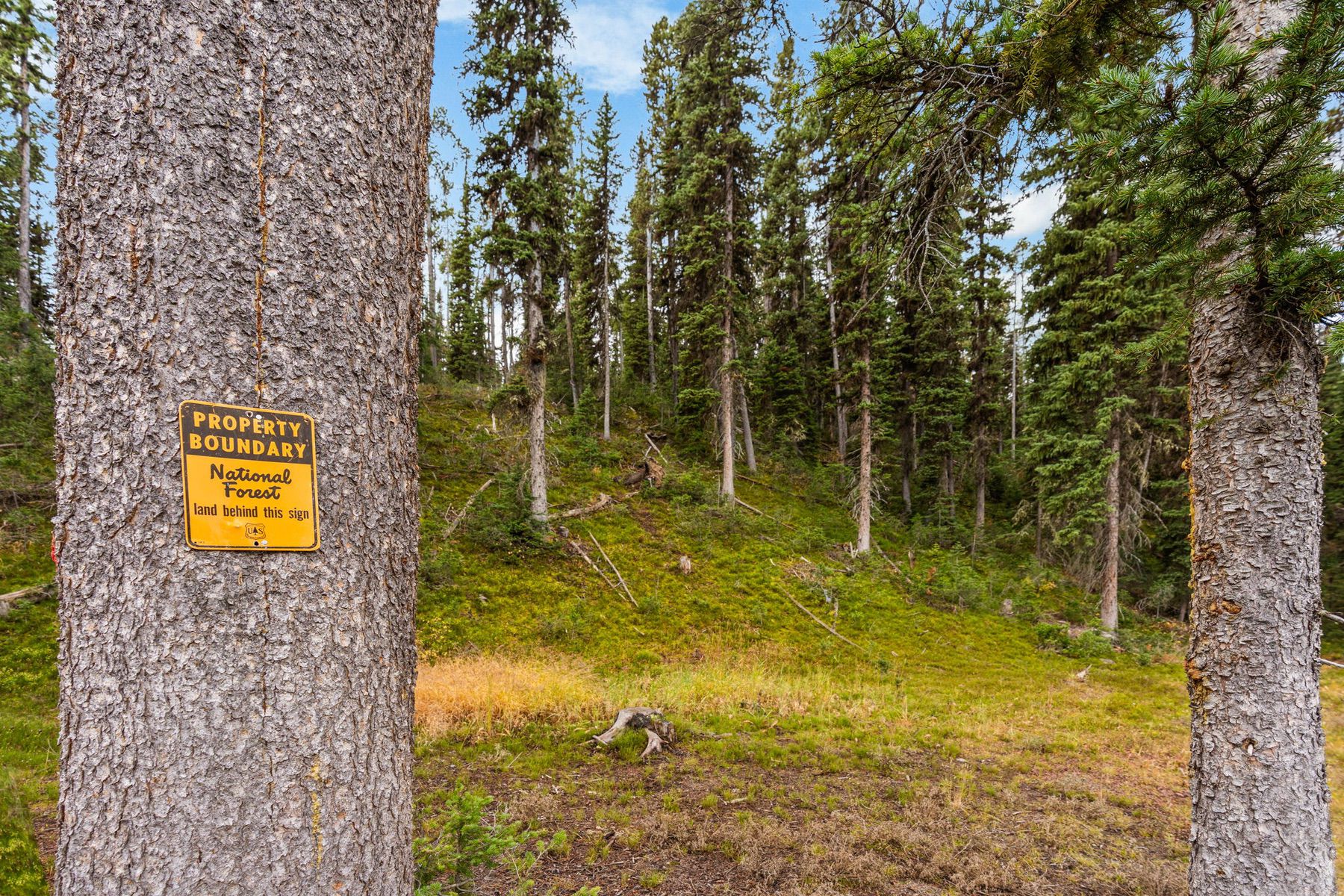  708 US Highway 212 W - 物件實景