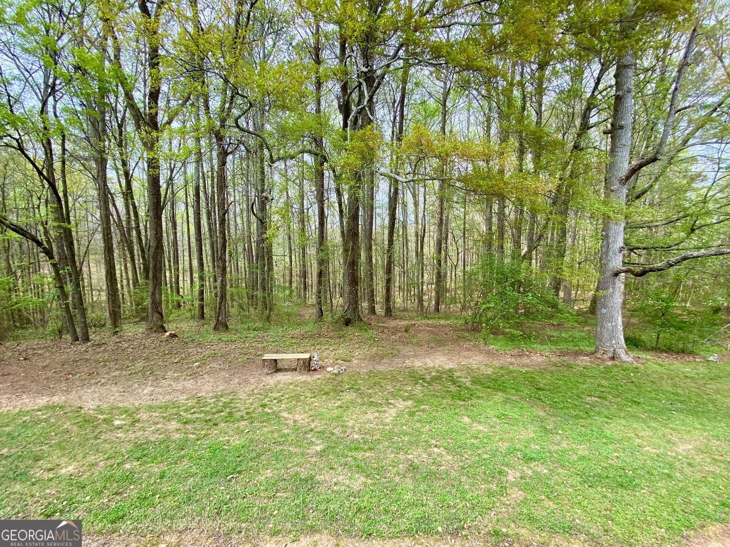 Rockmart, Georgia, 30153, United States, 5 Bedrooms Bedrooms, ,5 BathroomsBathrooms,Residential,For Sale,1858932