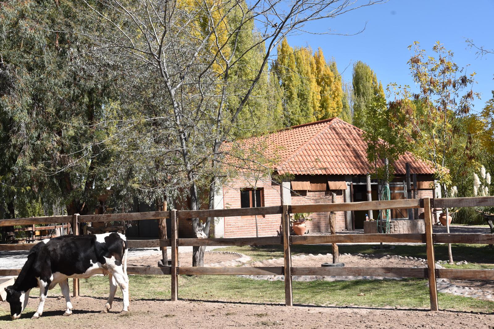 Lujan De Cuyo, AR-M, AR, 5 Bedrooms Bedrooms, ,8 BathroomsBathrooms,Residential,For Sale,1999071