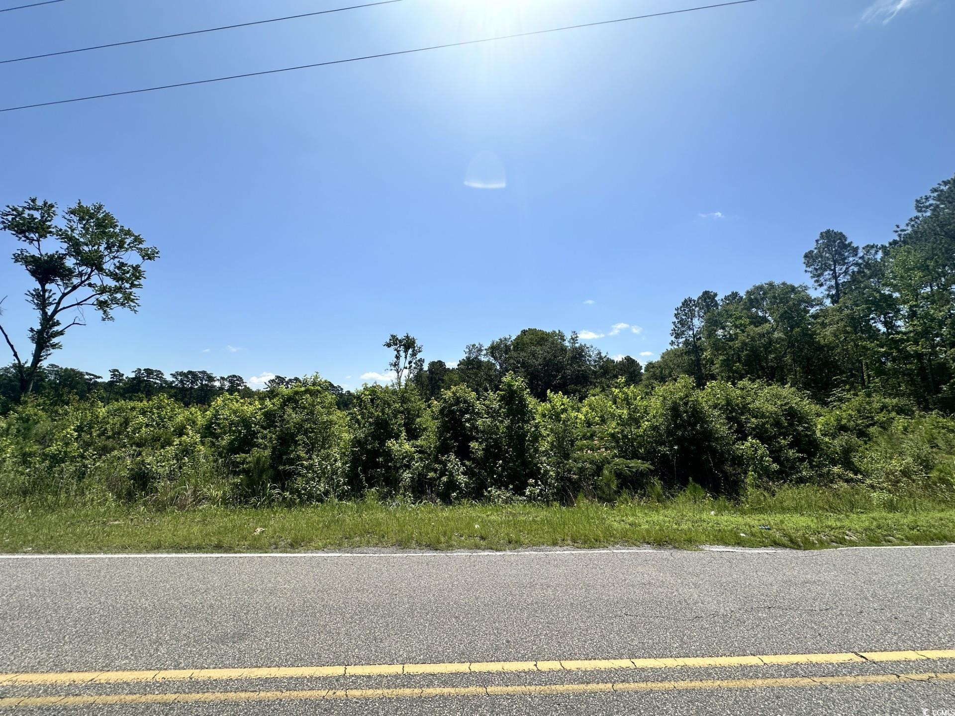 Longs, South Carolina, 29568, United States, ,Land,For Sale,1976577