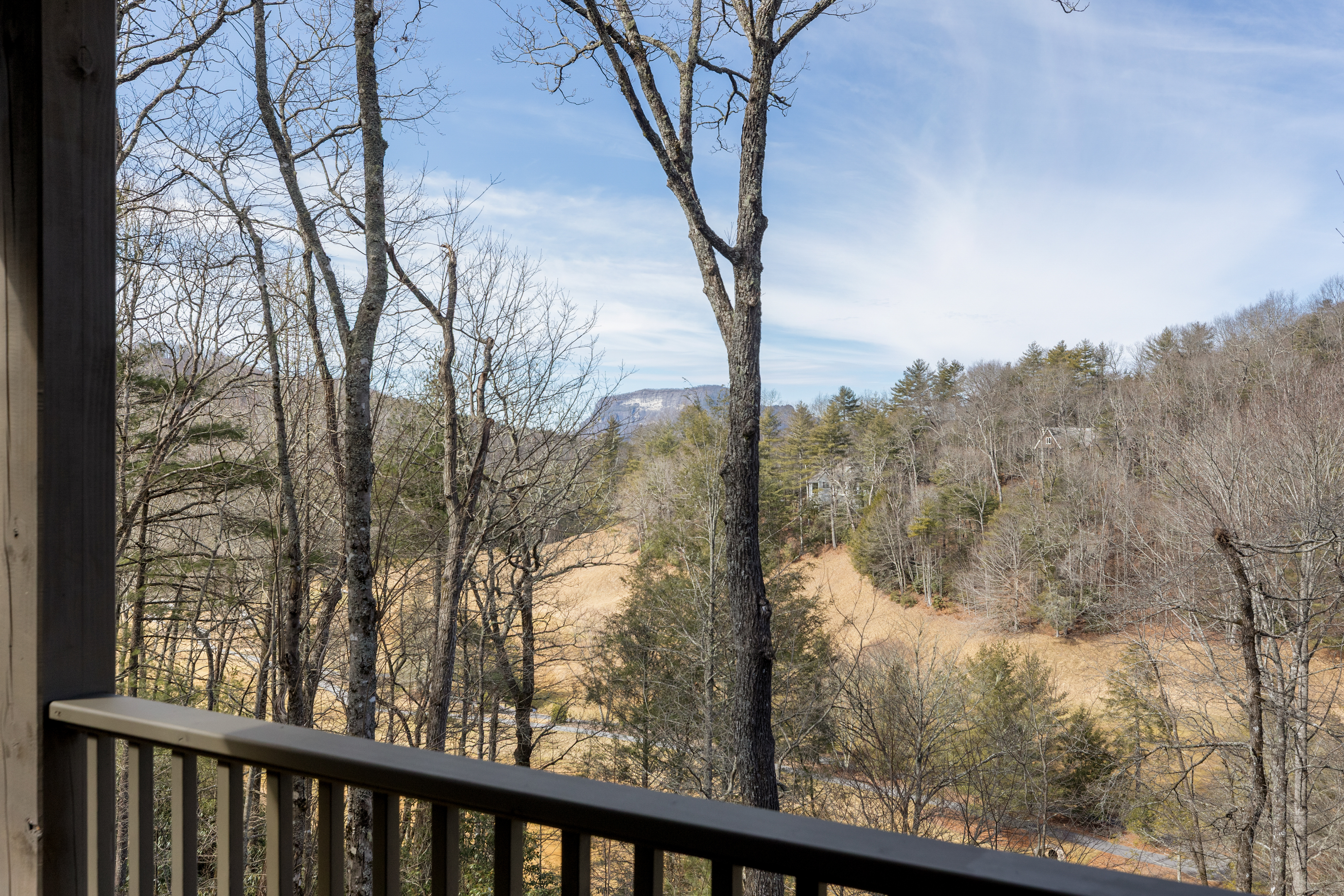  125 Wild Azalea Trail, Wade Hampton Golf Club - 物件實景