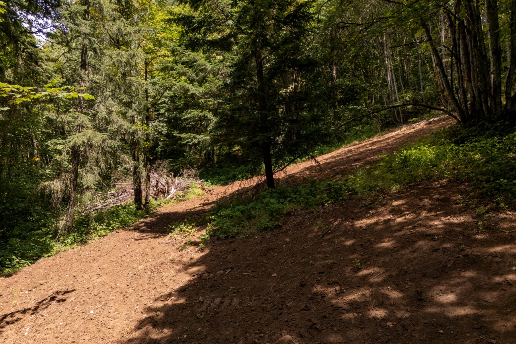  30540 NE BELL RD Newberg, OR 97132 - 物件實景