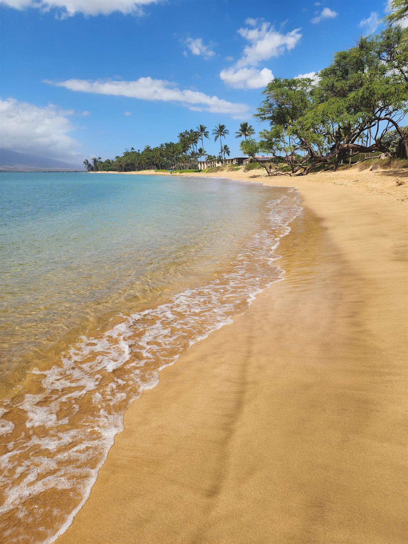 Kihei, Hawaii, 96753, United States, 1 Bedroom Bedrooms, ,1 BathroomBathrooms,Residential,For Sale,1994742