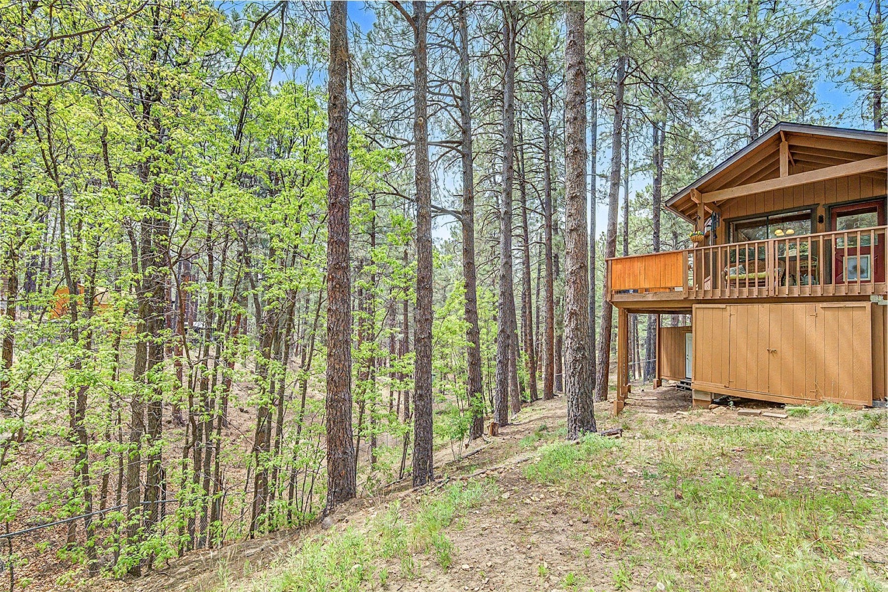  2804 Bird Springs Ovi  Flagstaff, AZ - 物件實景
