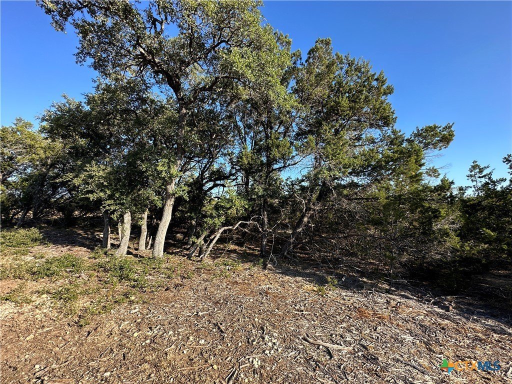 Salado, Texas, 76571, United States, ,Residential,For Sale,1974591