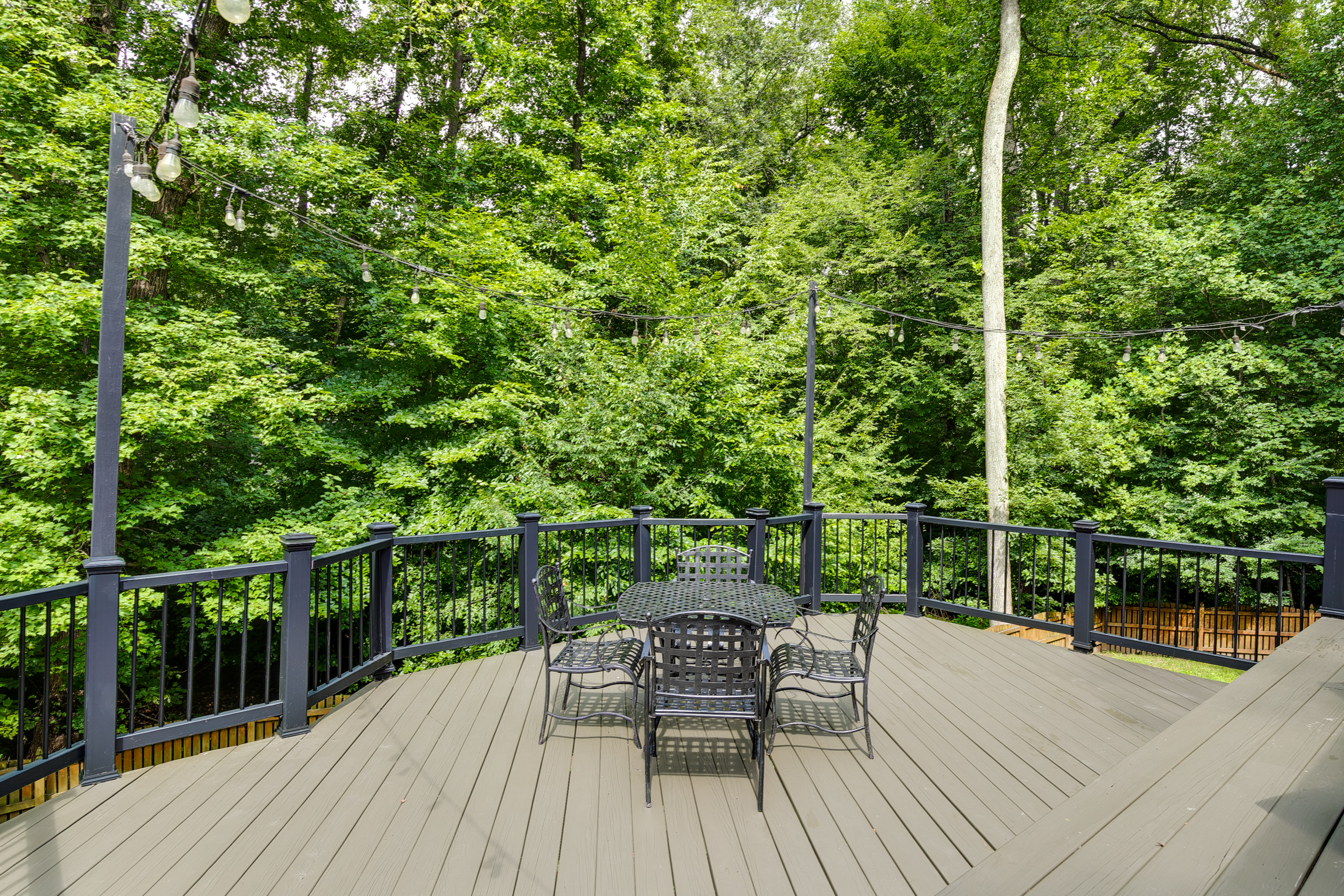  3911 Reeds Landing Circle, Midlothian, VA 23113 - 物件實景