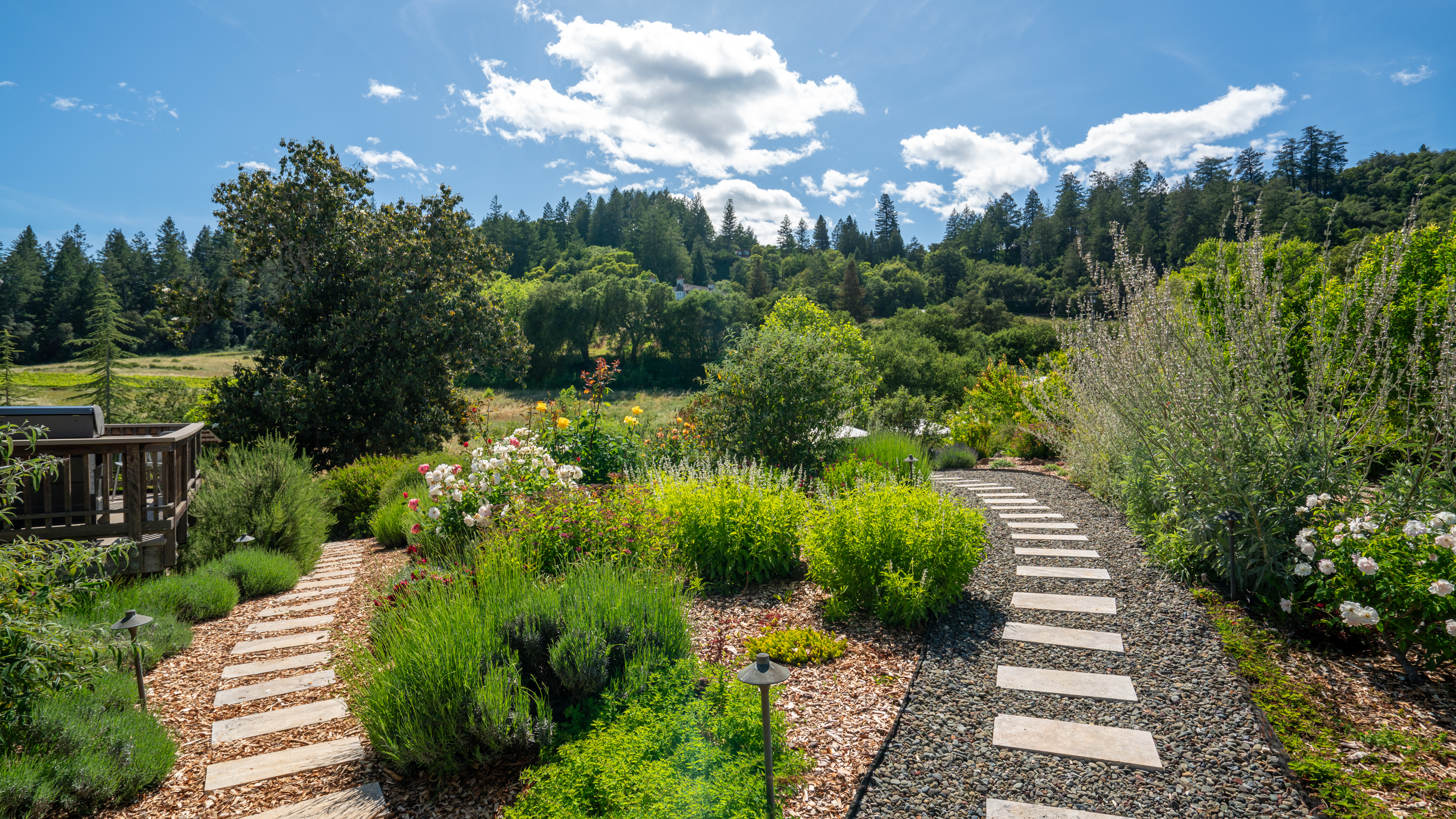  Quietly Exceptional Dry Creek Valley Estate - 物件實景