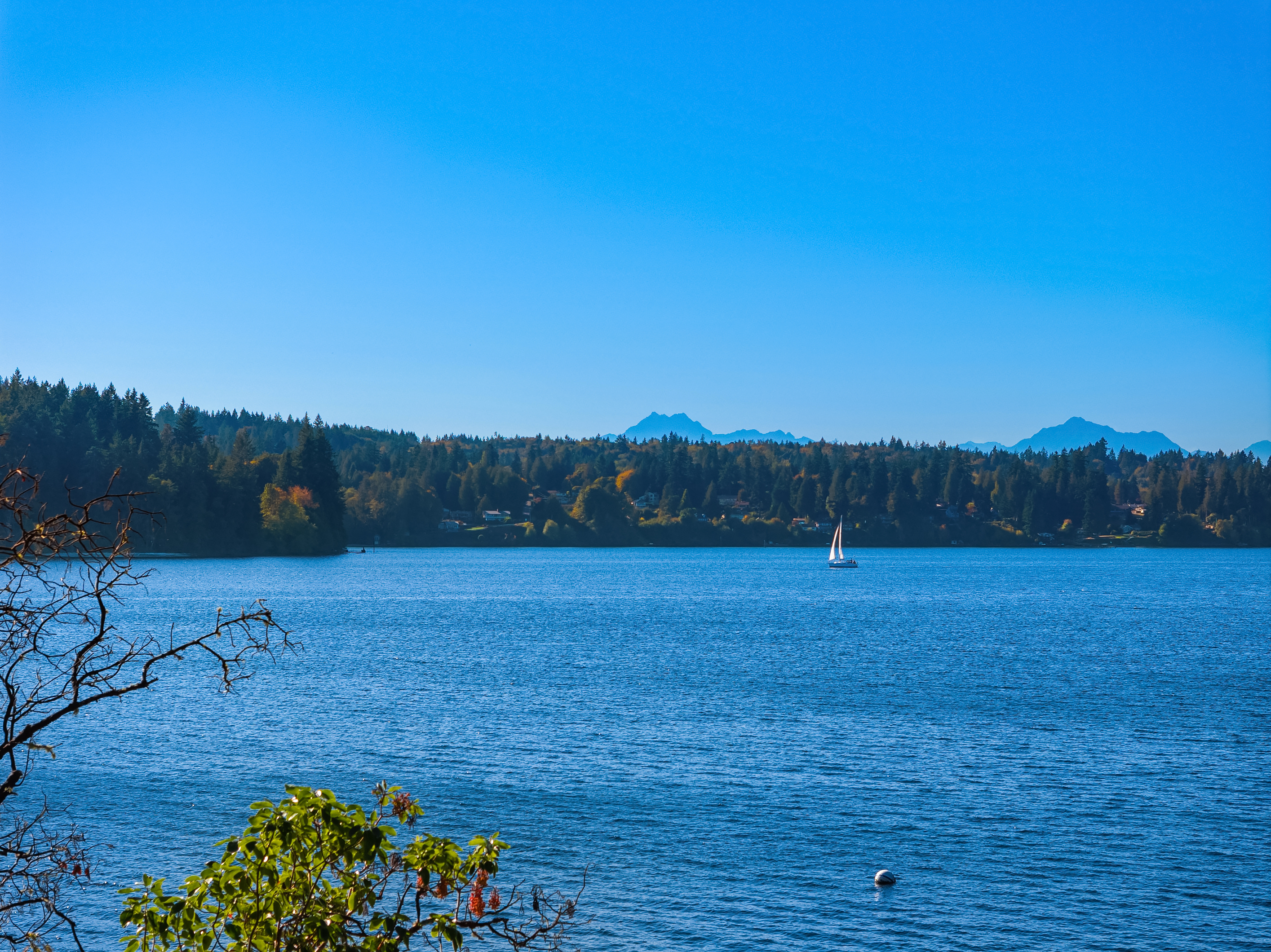  8405 Hansen Road Northeast, Bainbridge Island, WA 98110 - 物件實景