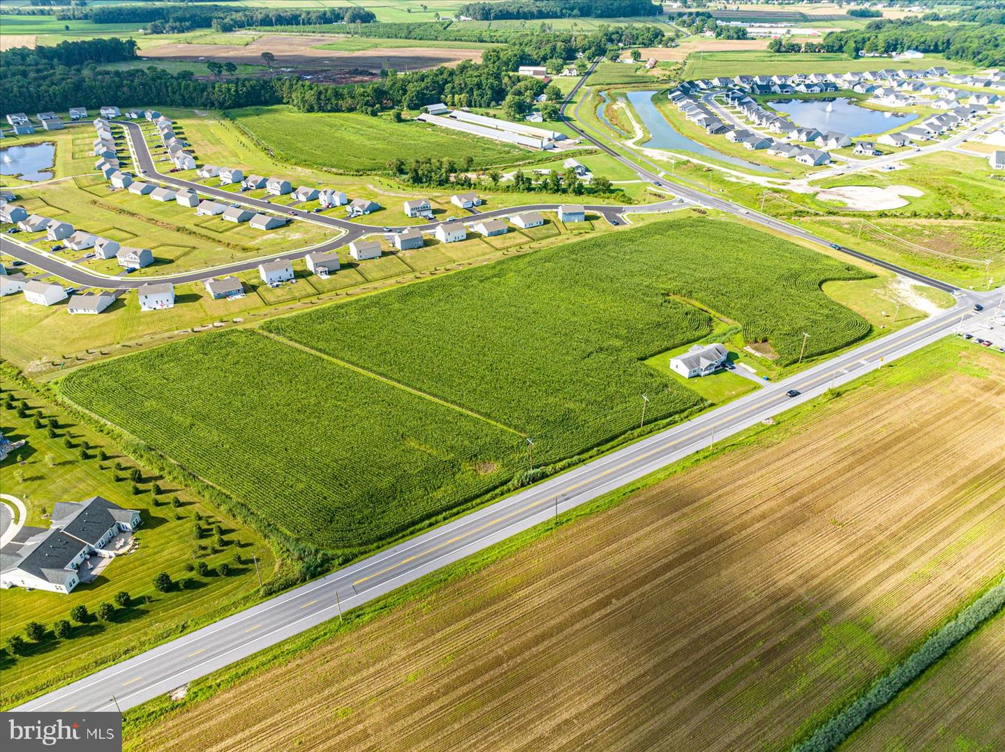 32474 Lighthouse Road, Selbyville, Delaware, 19975, United States, ,Land,For Sale,32474 Lighthouse Road,1613559