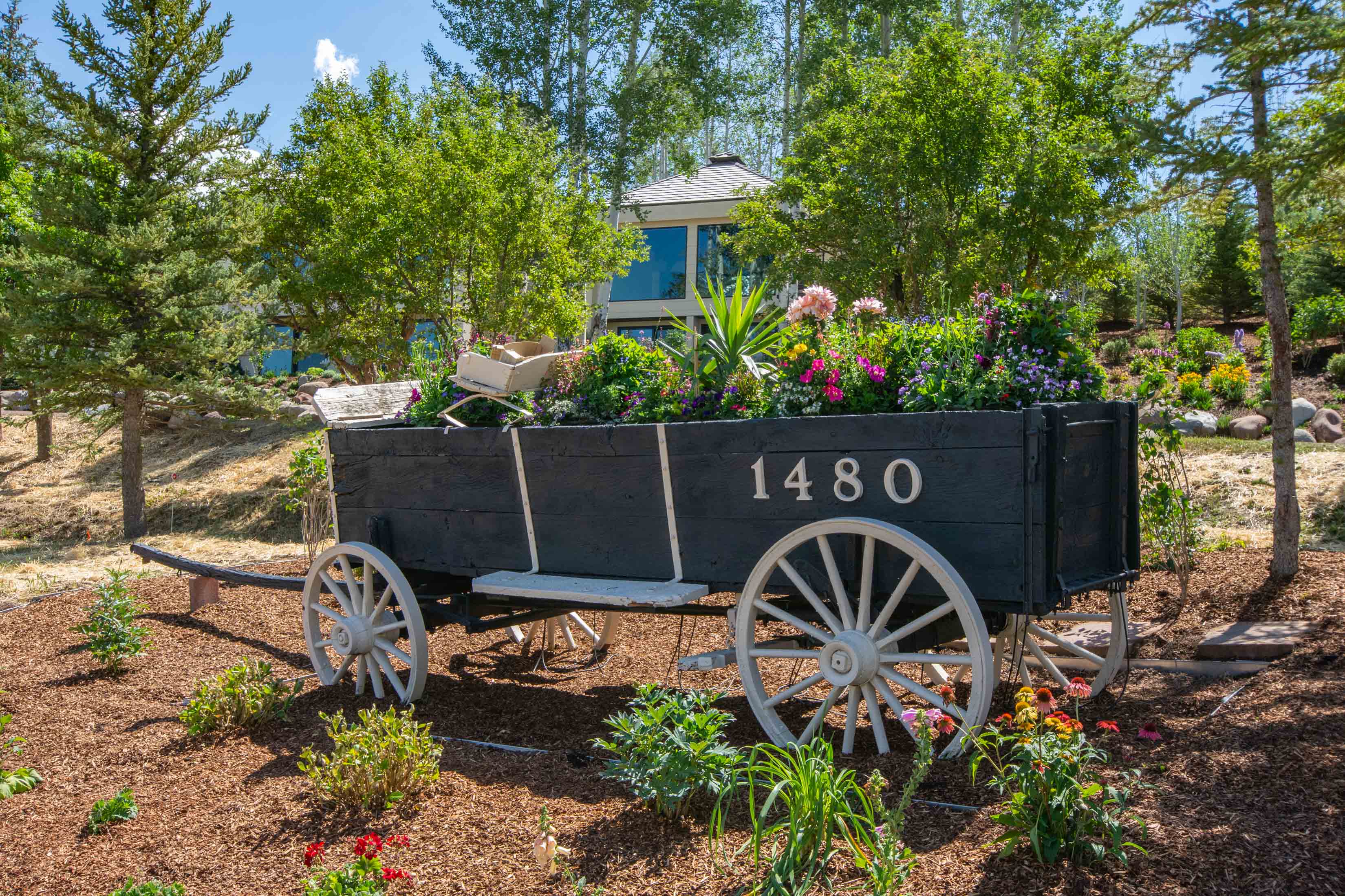  A Beautifully Reimagined Lazy O Ranch Estate with Unparalleled Mt. Sopris Views - 物件實景