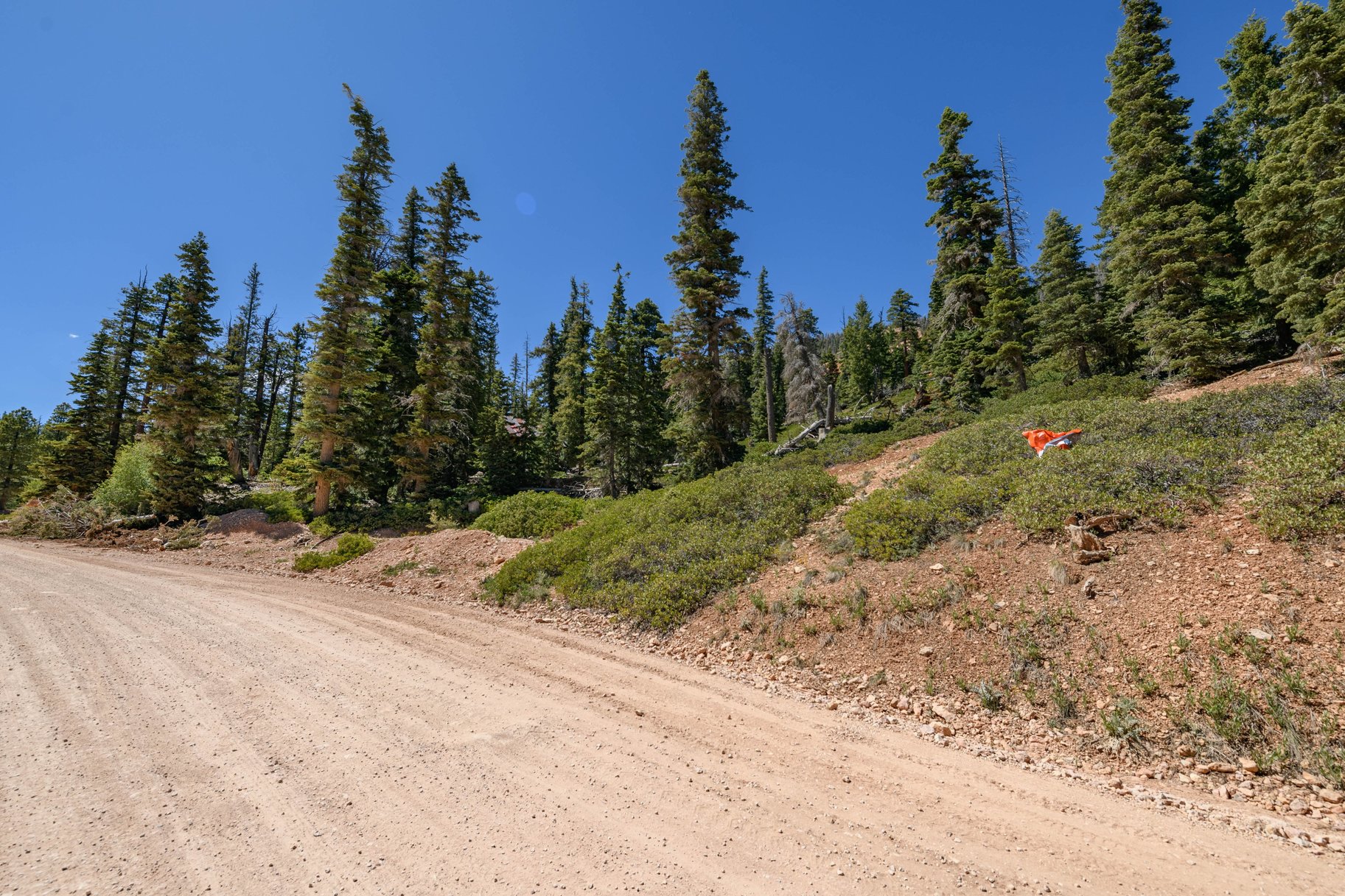  Quiet Mountain Retreat Near Navajo Lake - 物件實景