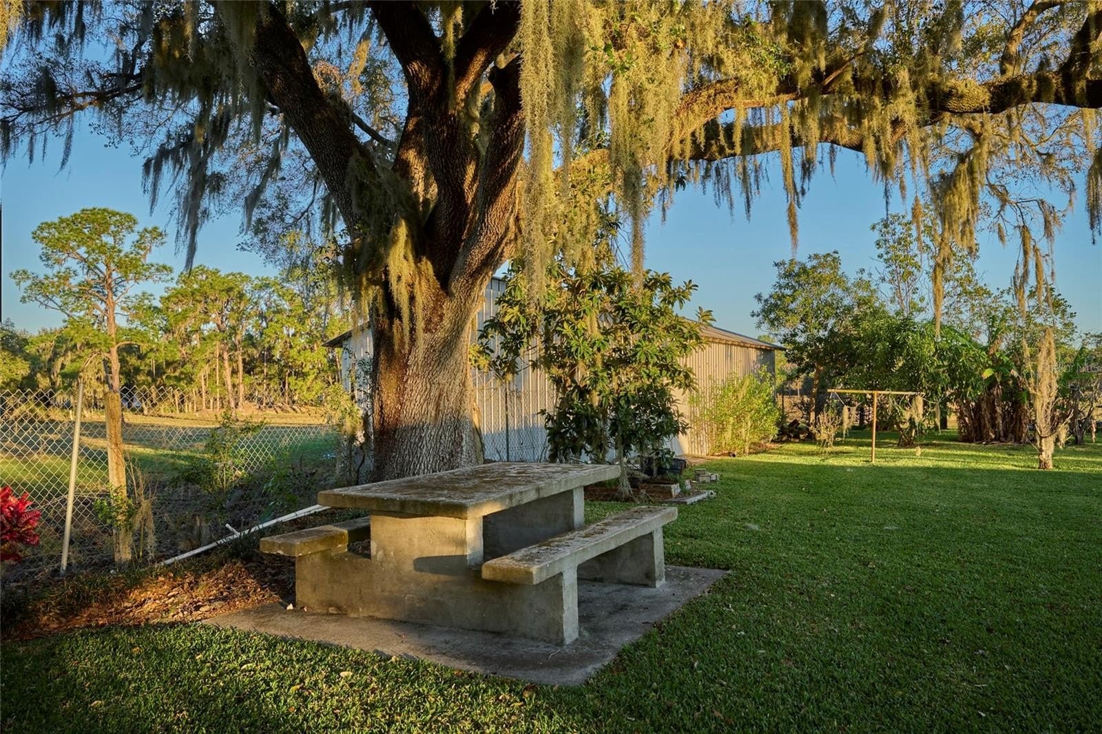 BARTOW, Florida, 33830, United States, 3 Bedrooms Bedrooms, ,2 BathroomsBathrooms,Residential,For Sale,1915491