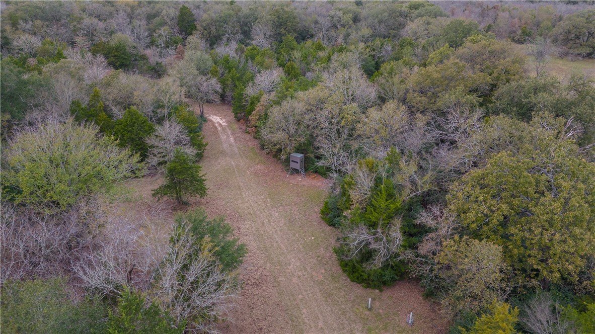 Thornton, Texas, 76687, United States, ,Land,For Sale,2003074