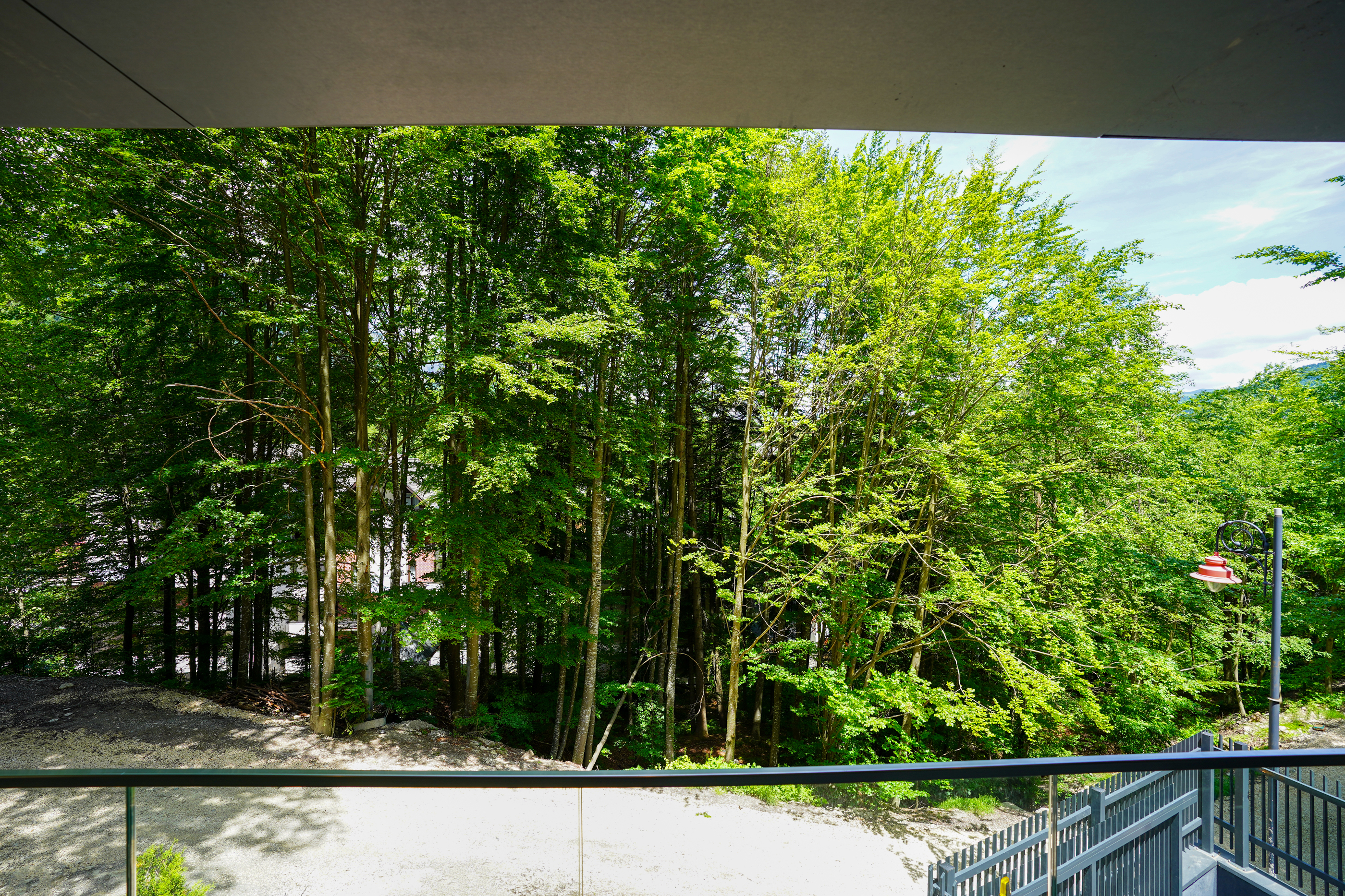  Modern Apartment Directly Adjacent to the Forest, Sinaia - 物件實景