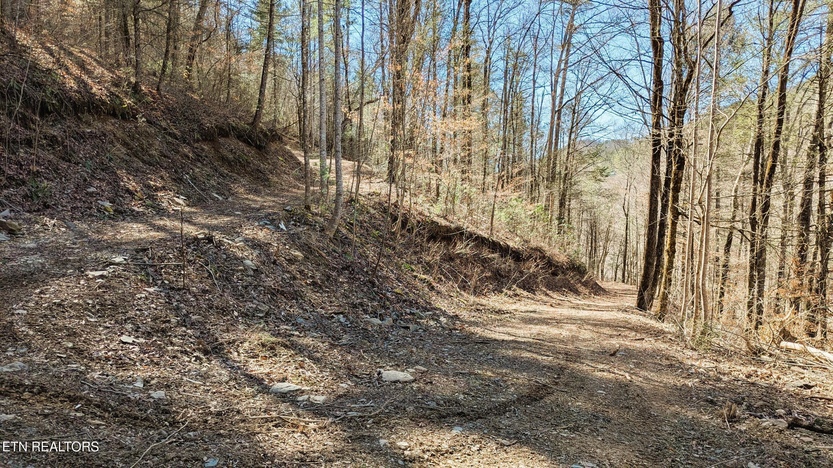 Townsend, Tennessee, 37882, United States, ,Land,For Sale,1978973